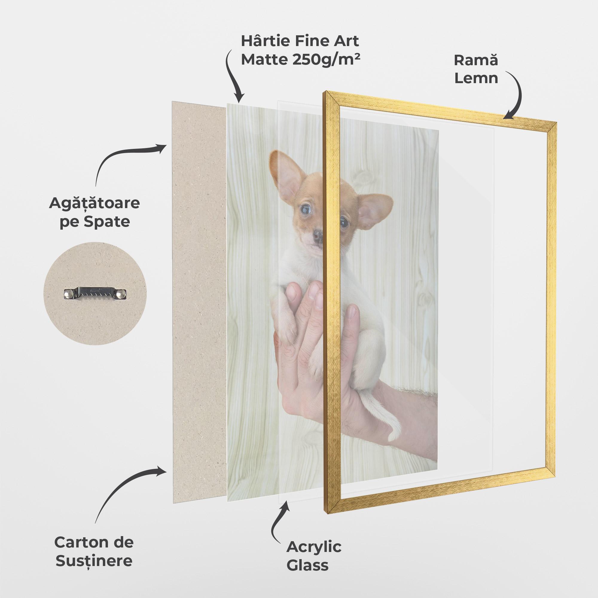 Poster Înrămat Holding Chihuahua mockup 1