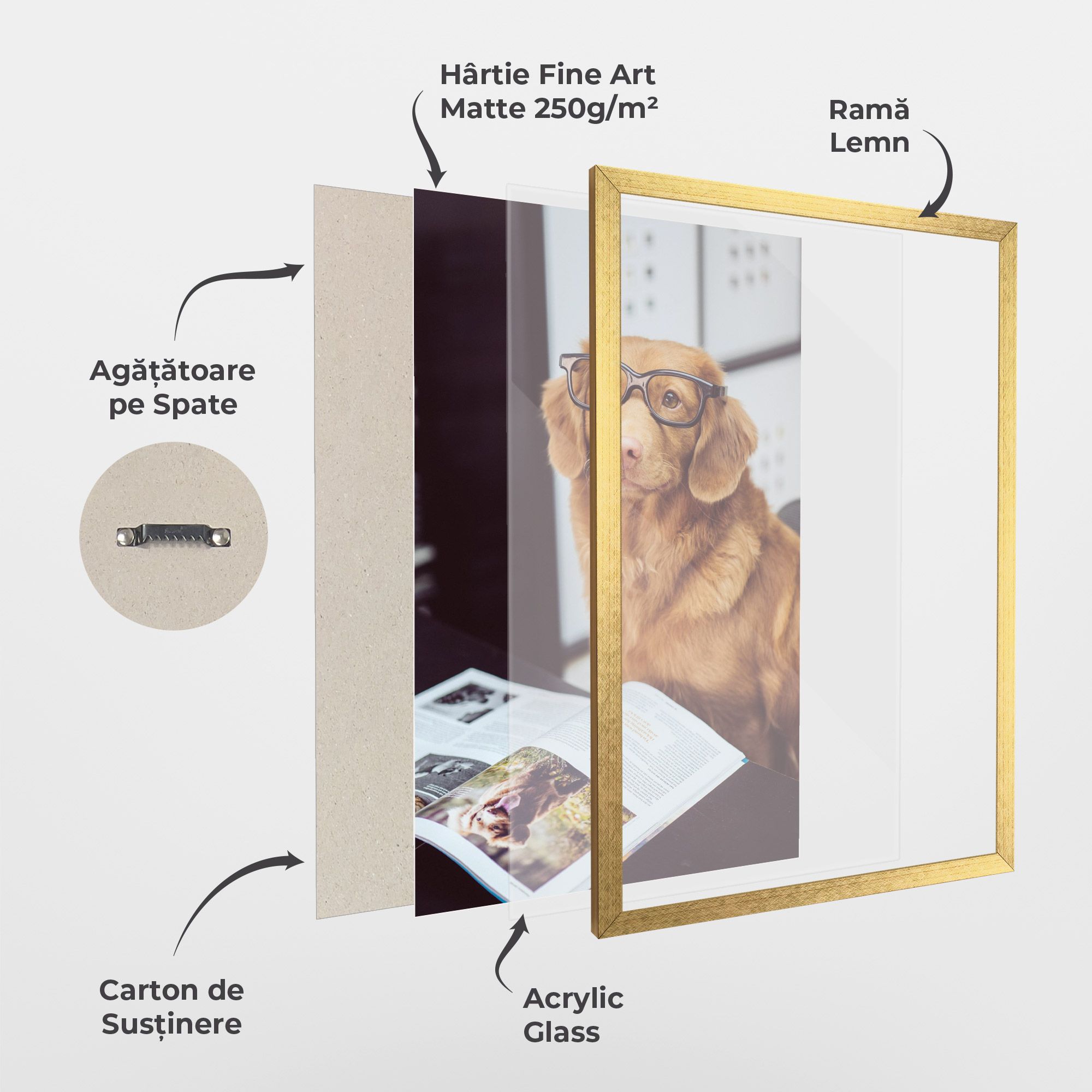 Learning Dog mockup 1