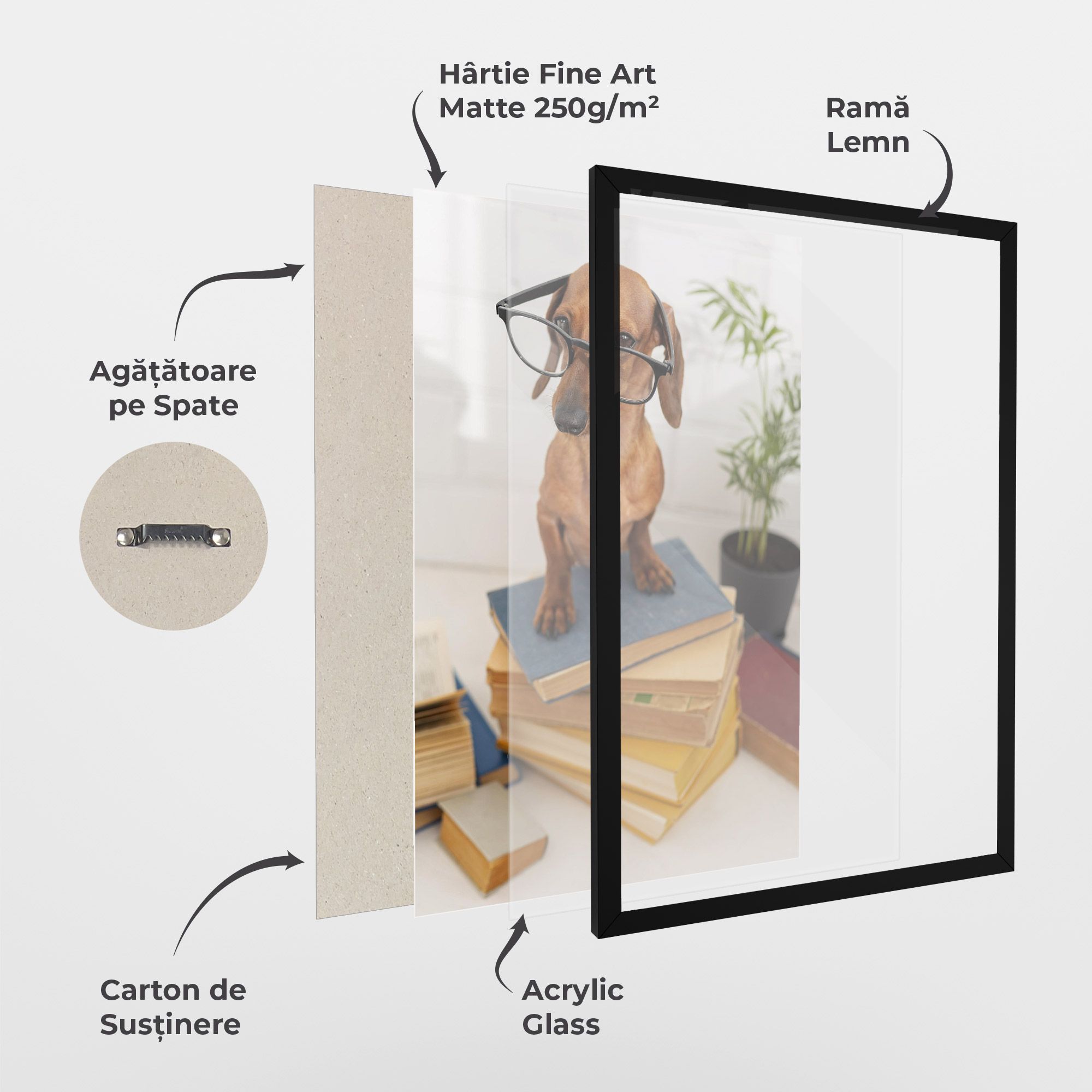 Books Cute Dog mockup 1