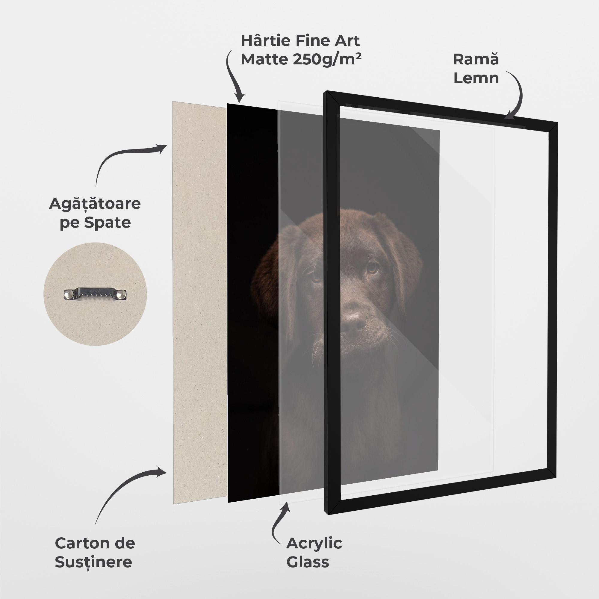 Poster Înrămat Chocolate Labrador mockup 1