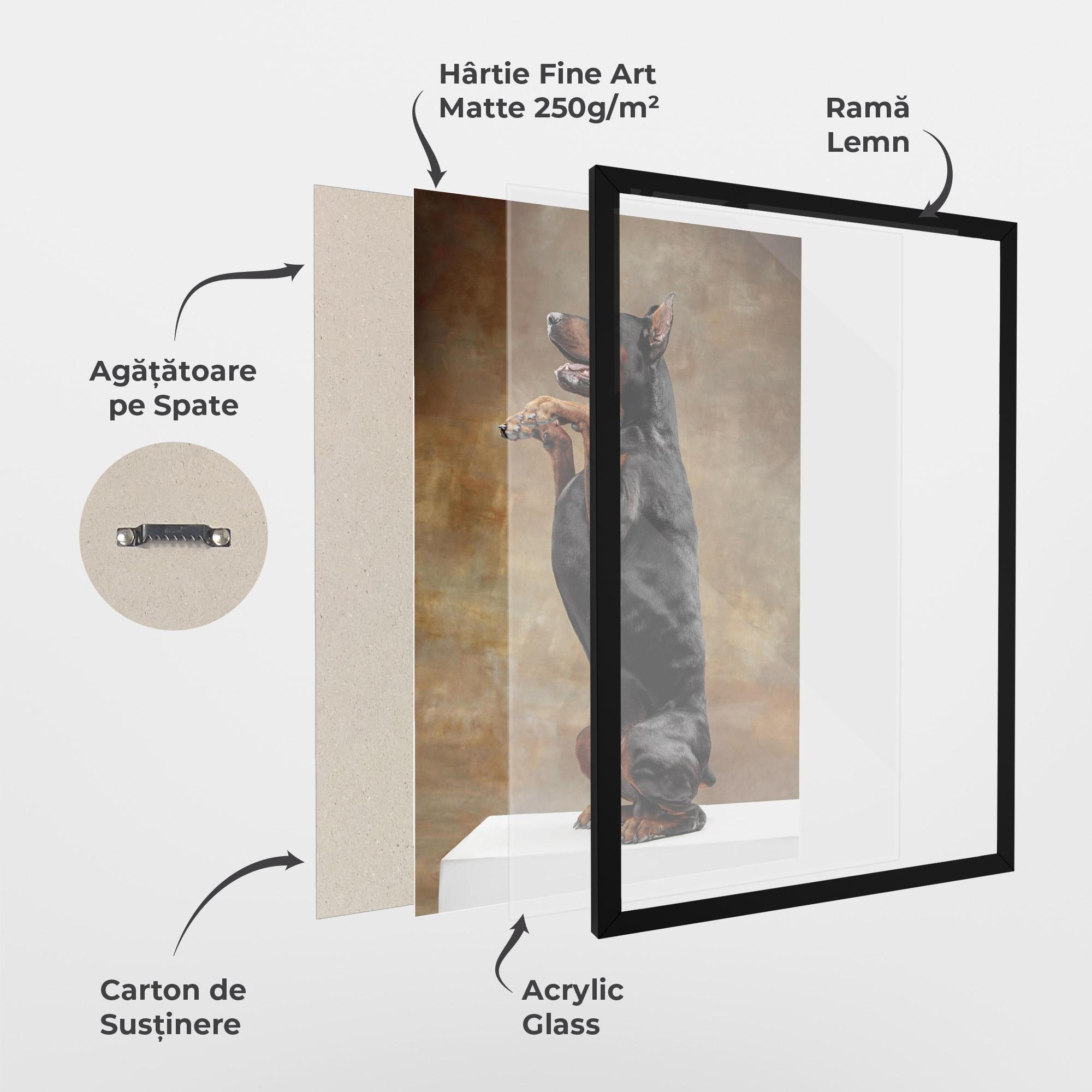 Poster Înrămat Doberman Standing mockup 1