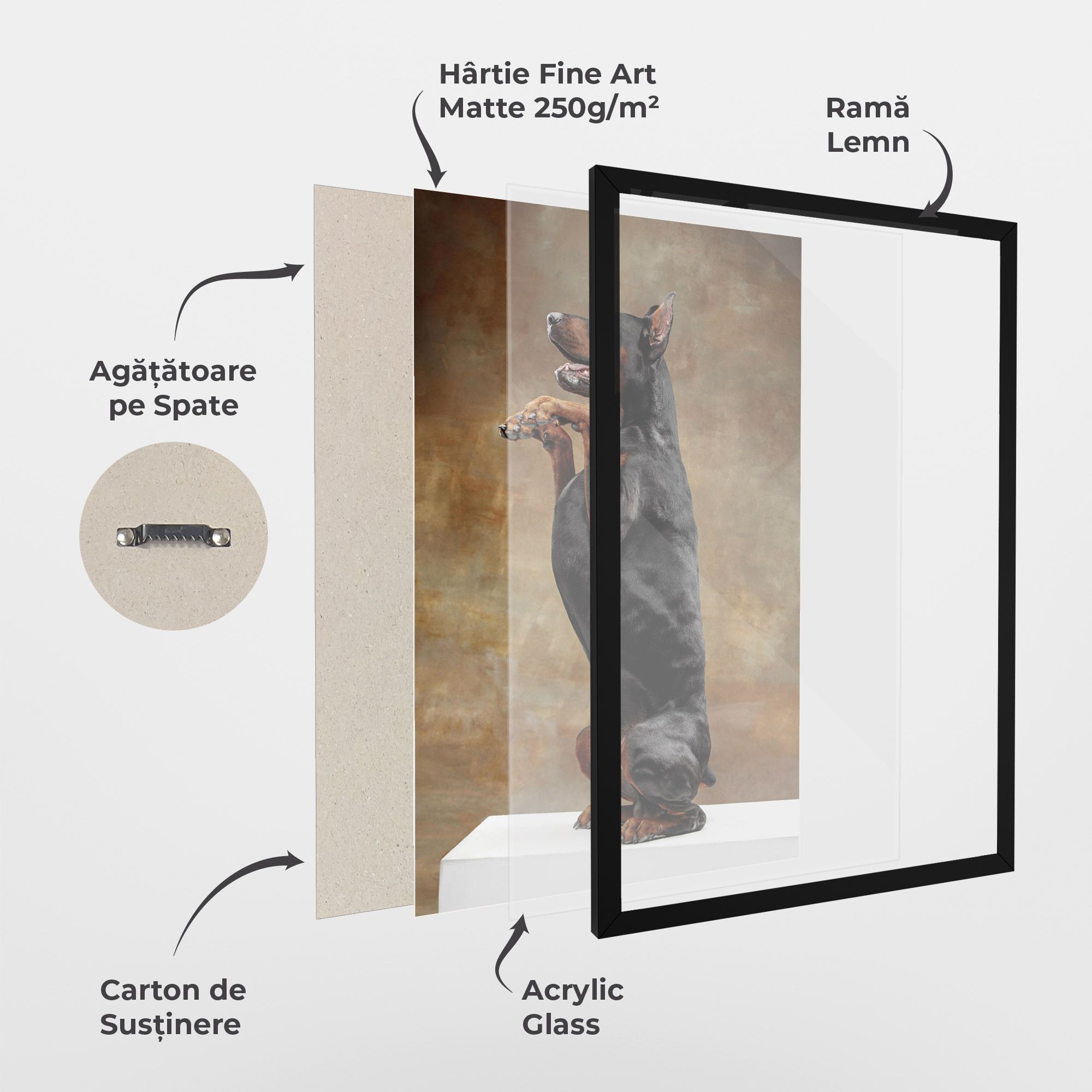 Doberman Standing mockup 1