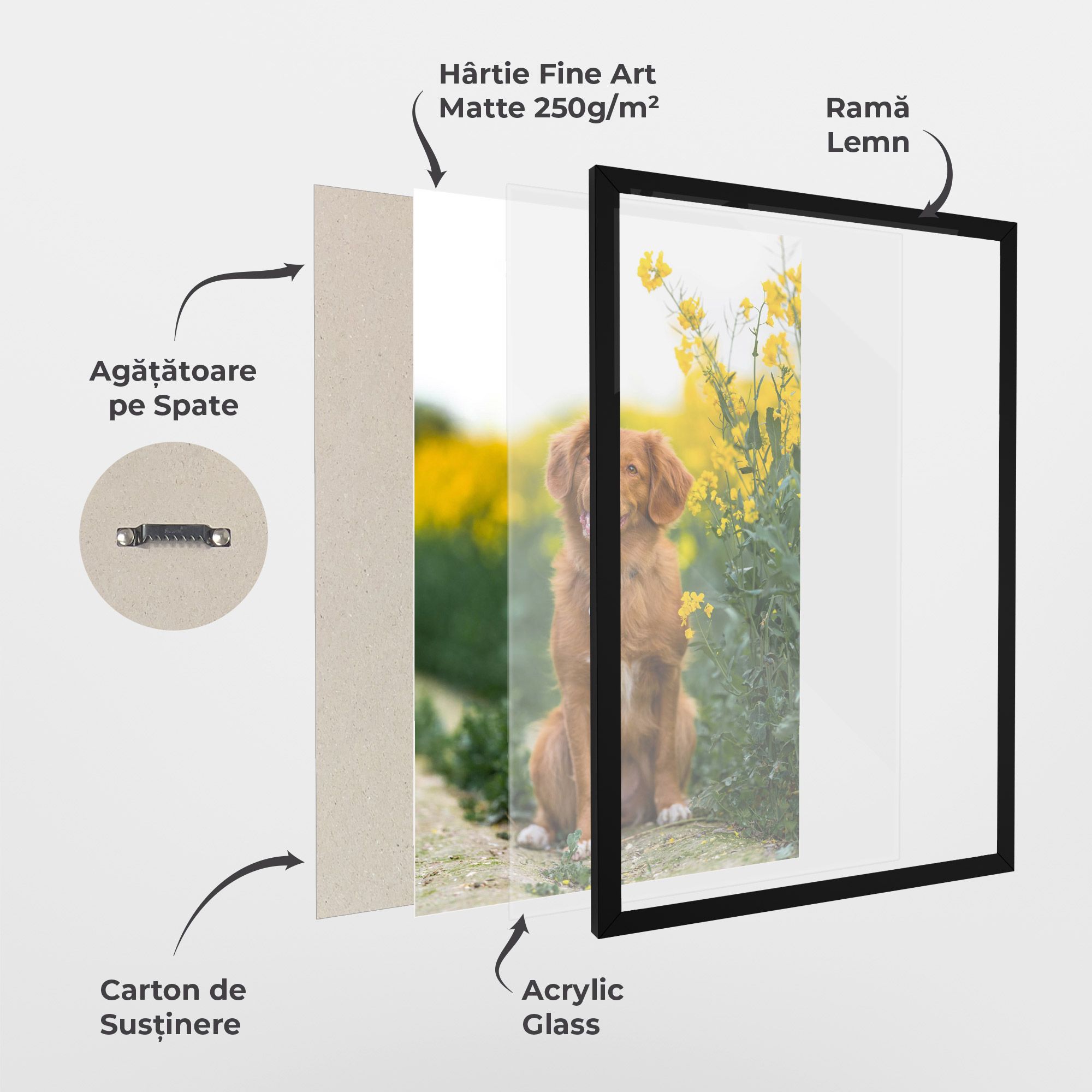 Dog Yellow Flowers mockup 1