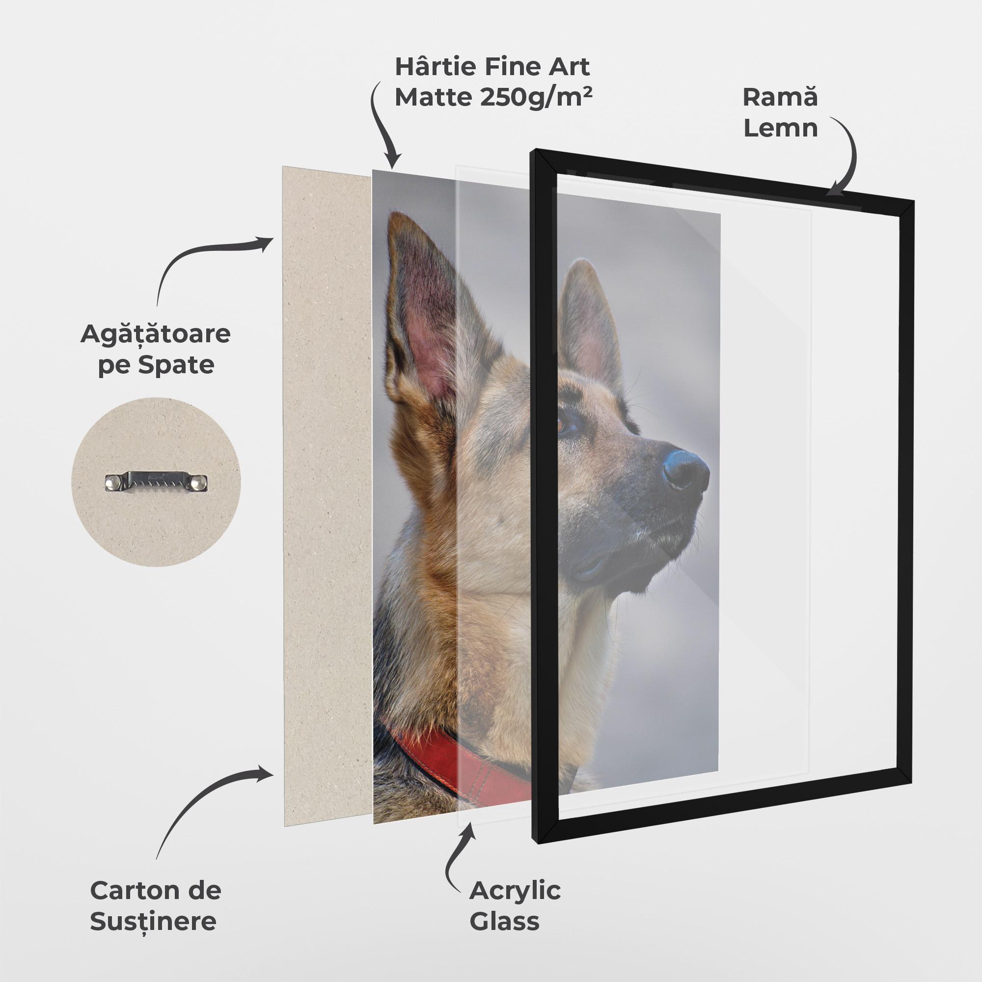 Poster Înrămat German Shepherd mockup 1