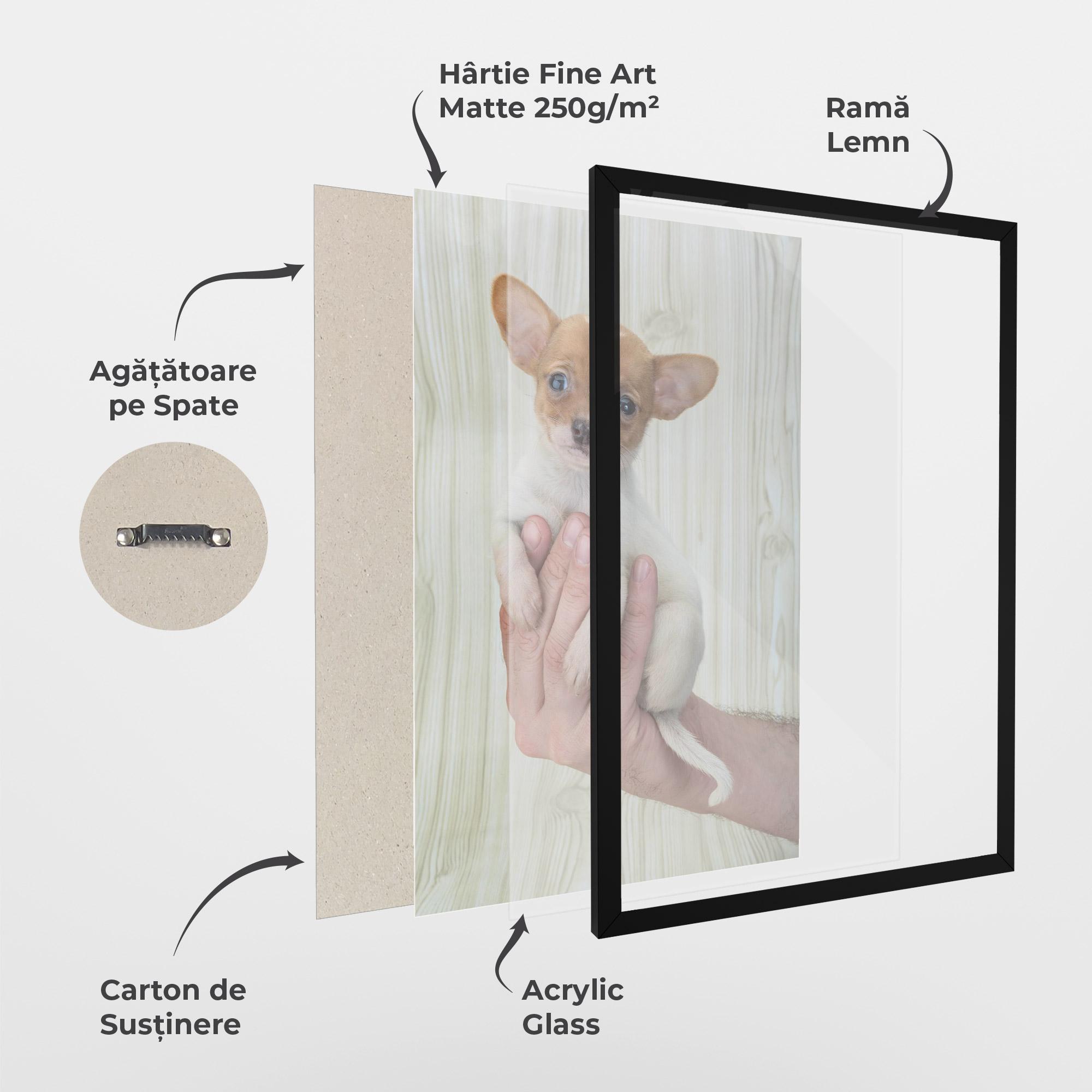 Poster Înrămat Holding Chihuahua mockup 1