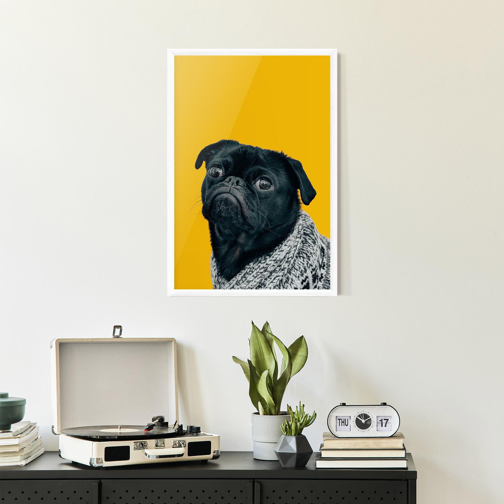 Poster Înrămat Black Pug mockup 2