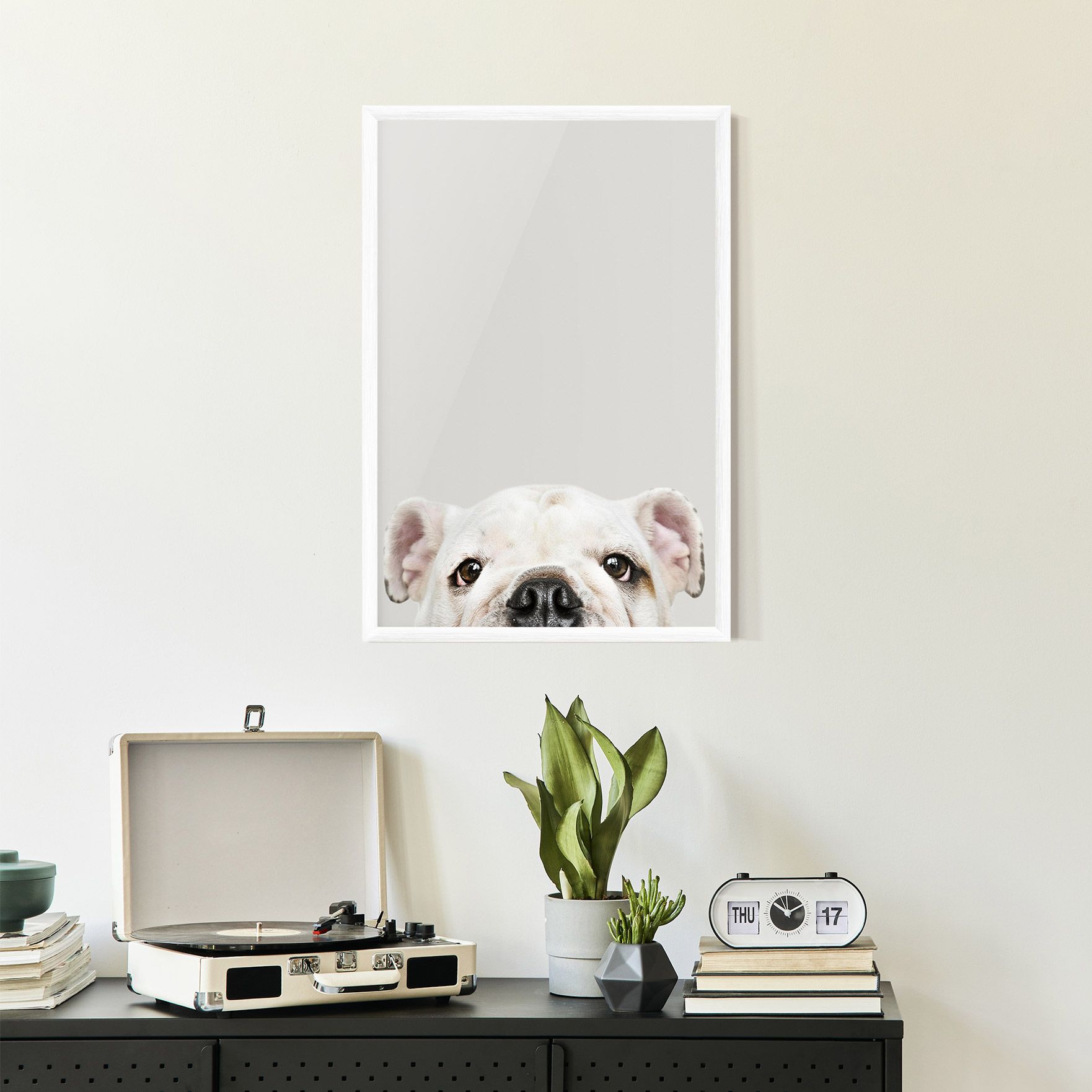 Bulldog Eyes mockup 2