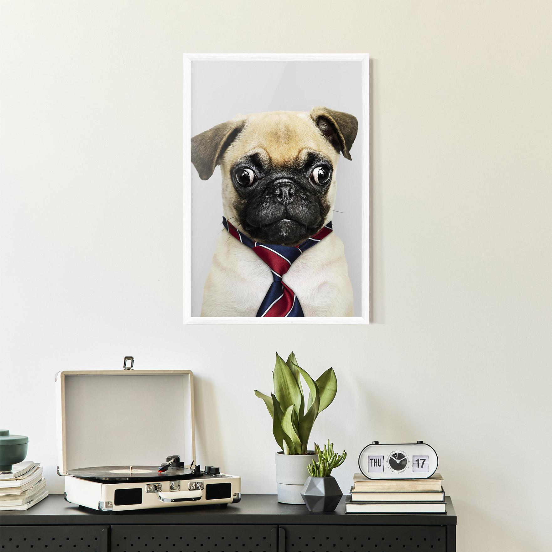 Poster Înrămat Business Pug mockup 2