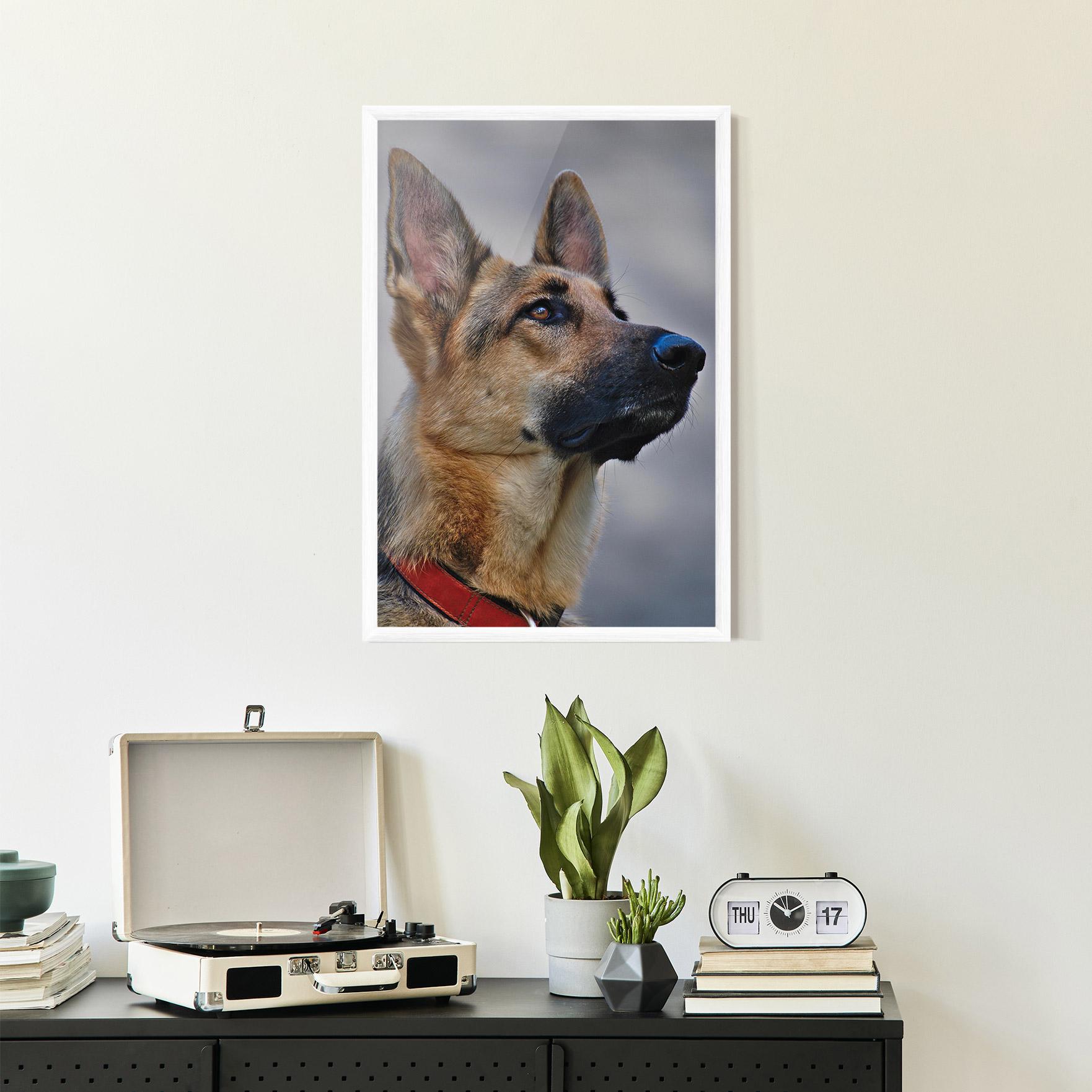 Poster Înrămat German Shepherd mockup 2