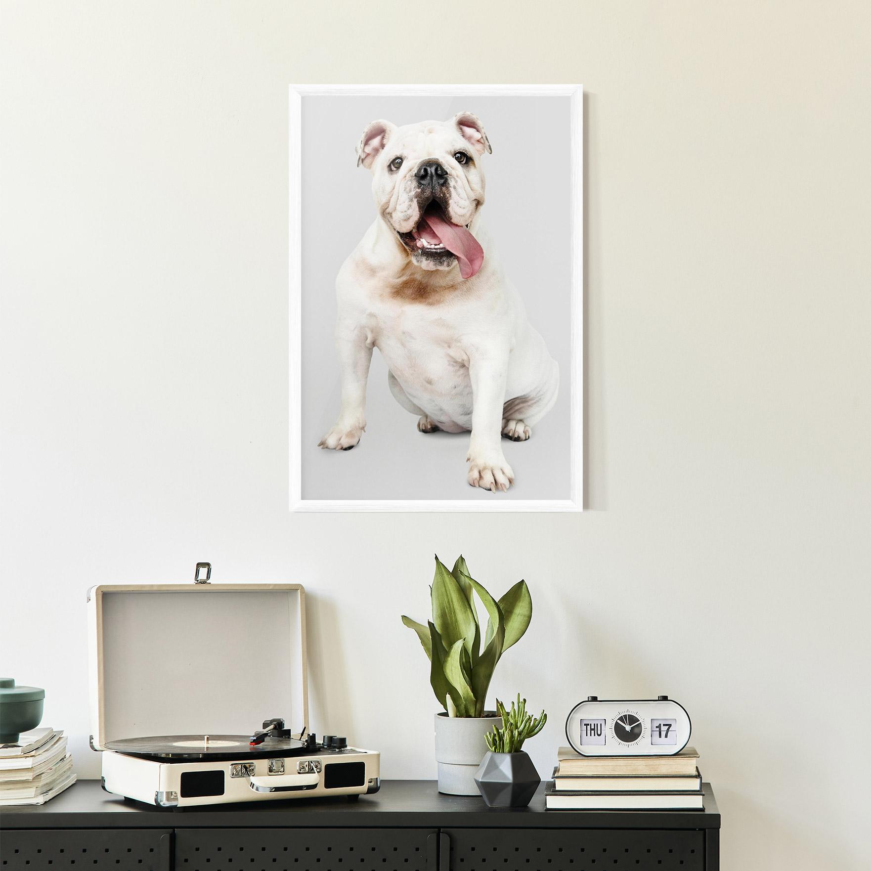 Poster Înrămat Happy White Dog mockup 2