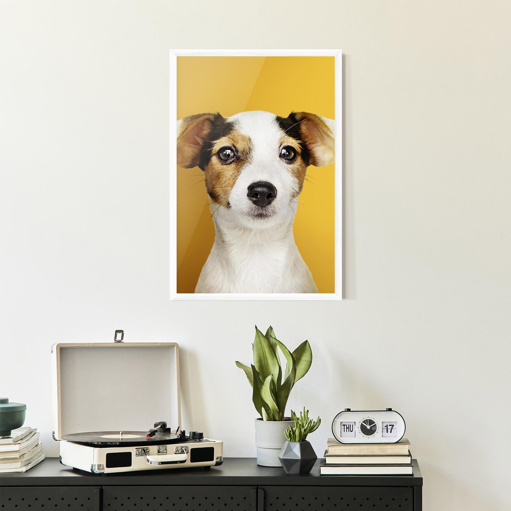 Poster Înrămat Puppy On Yellow mockup 2