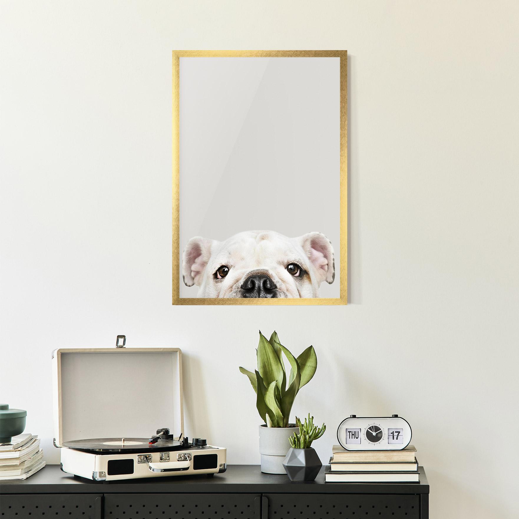 Poster Înrămat Bulldog Eyes mockup 2
