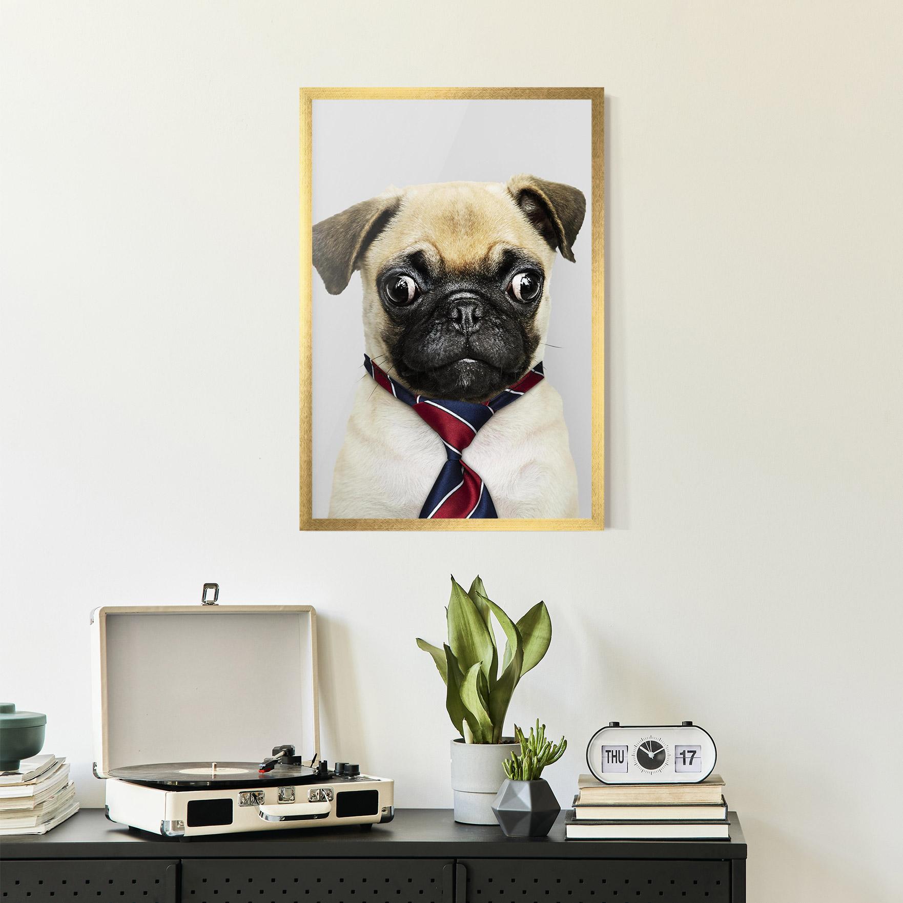 Poster Înrămat Business Pug mockup 2