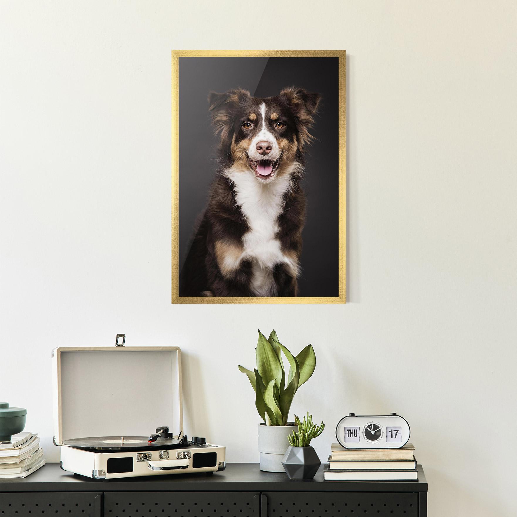 Poster Înrămat Cute Dog Sitting mockup 2