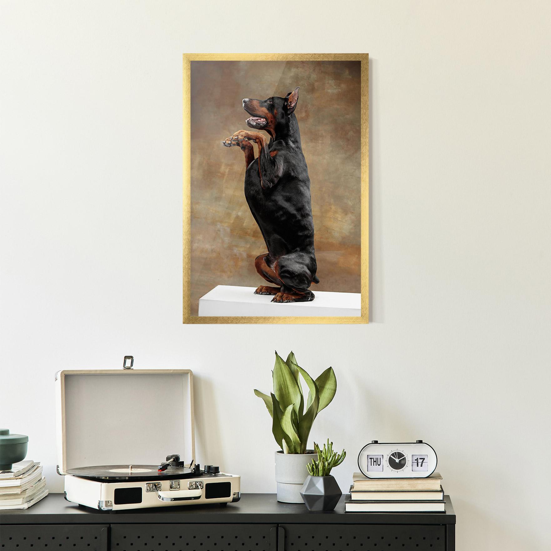 Poster Înrămat Doberman Standing mockup 2