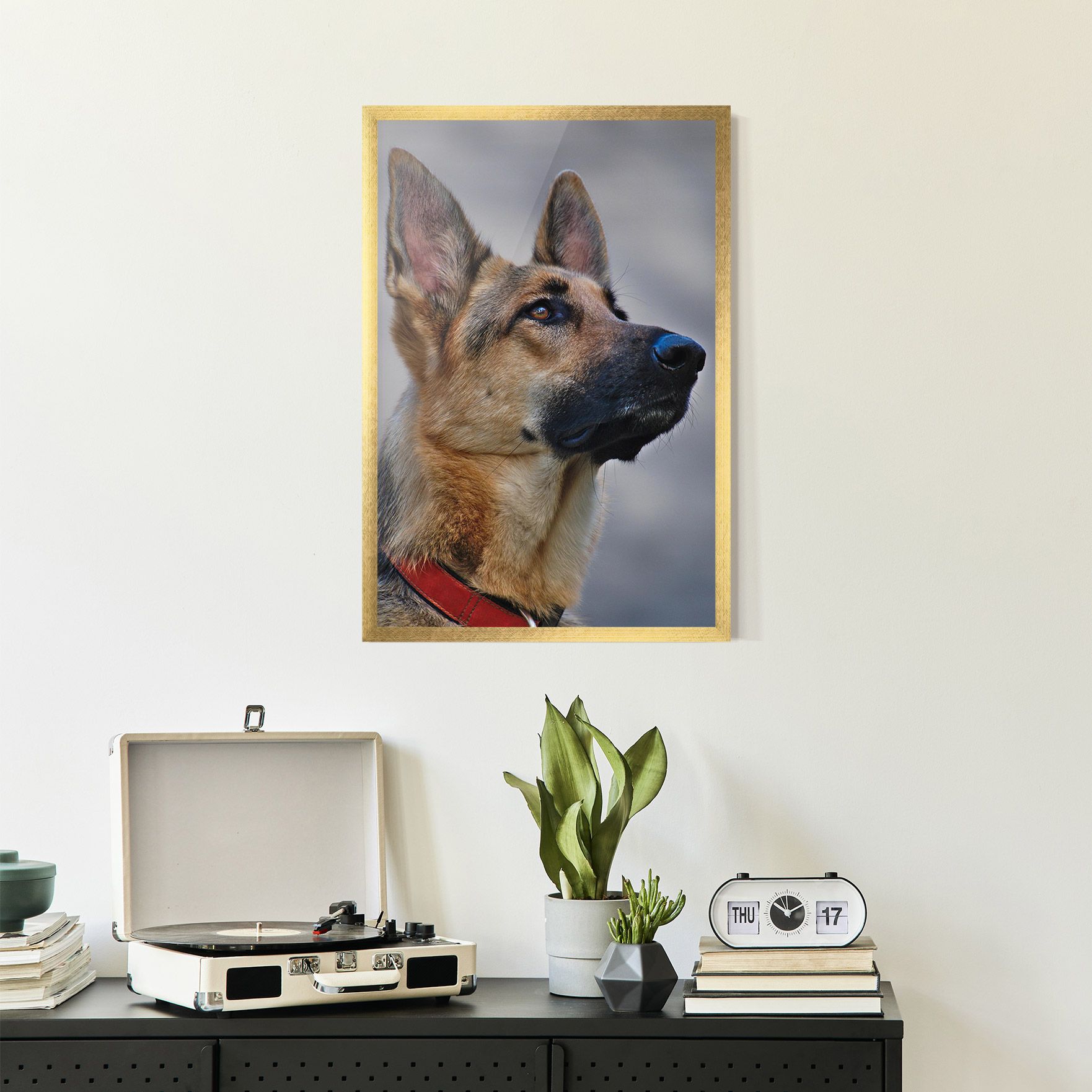 German Shepherd mockup 2