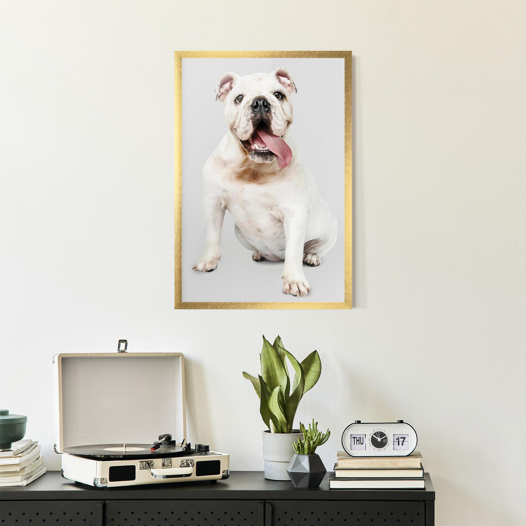 Poster Înrămat Happy White Dog mockup 2