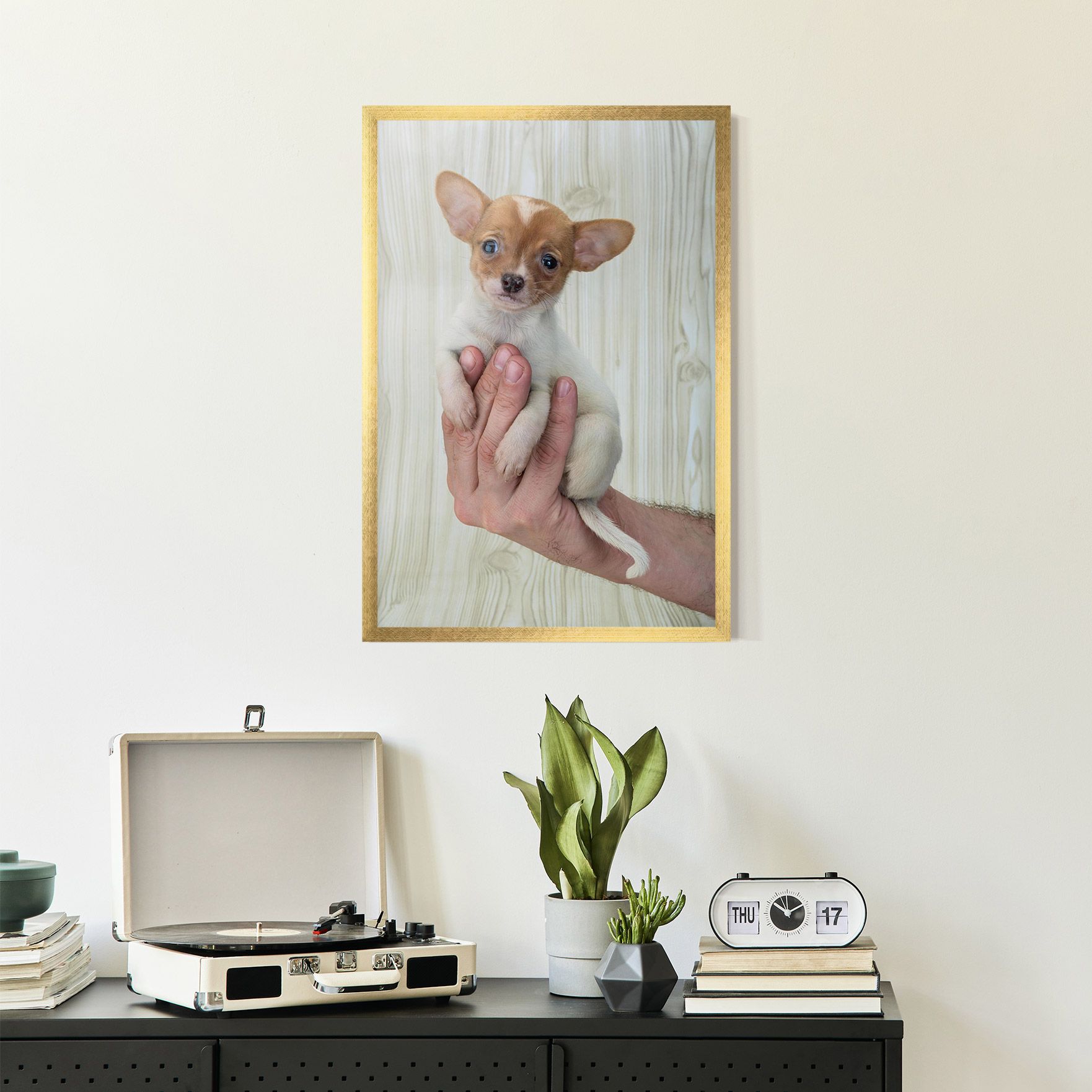 Holding Chihuahua mockup 2