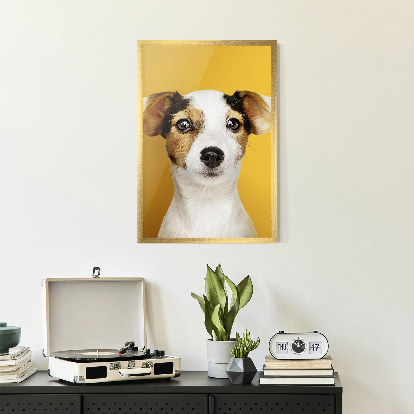 Poster Înrămat Puppy On Yellow mockup 2
