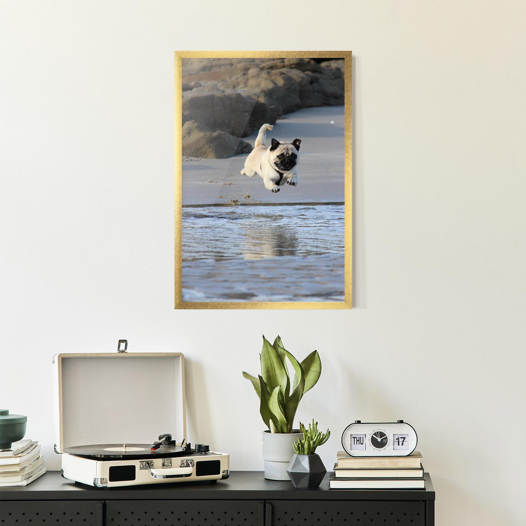 Poster Înrămat Water Pug mockup 2