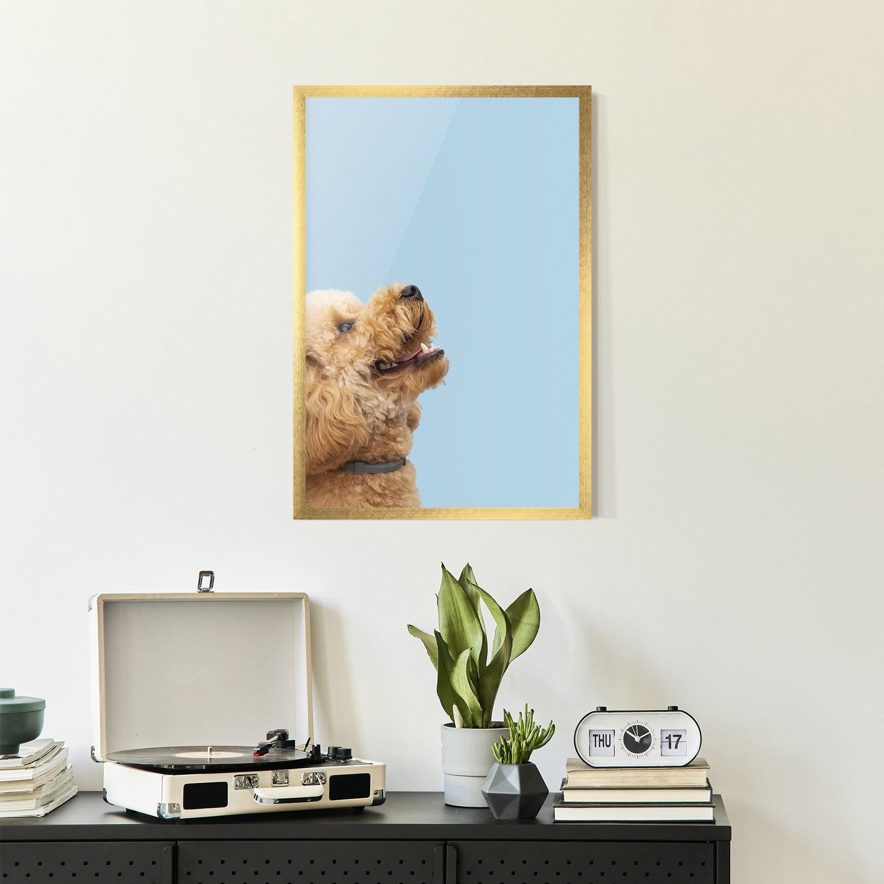 Poster Înrămat Yellow Cute Dog mockup 2