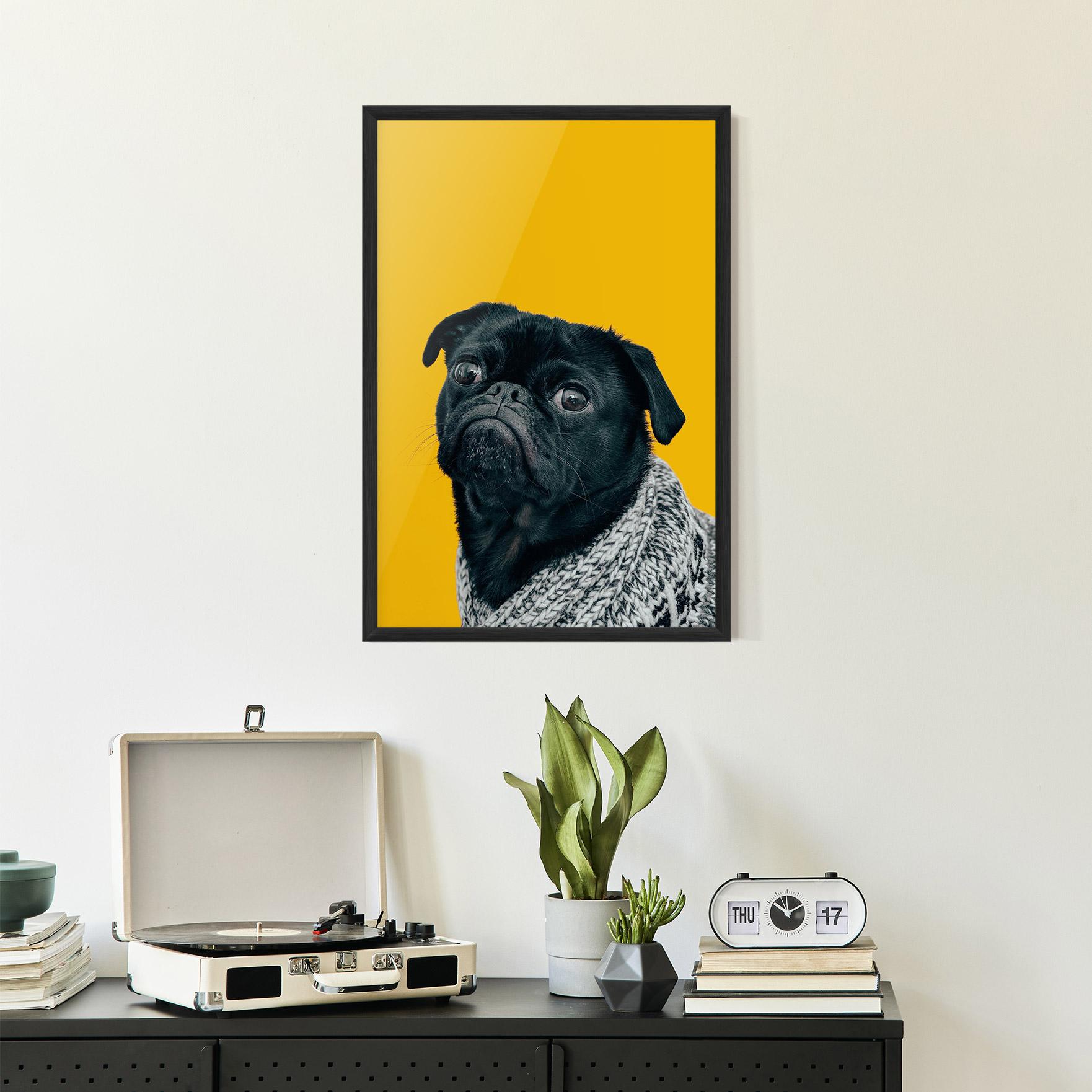 Poster Înrămat Black Pug mockup 2