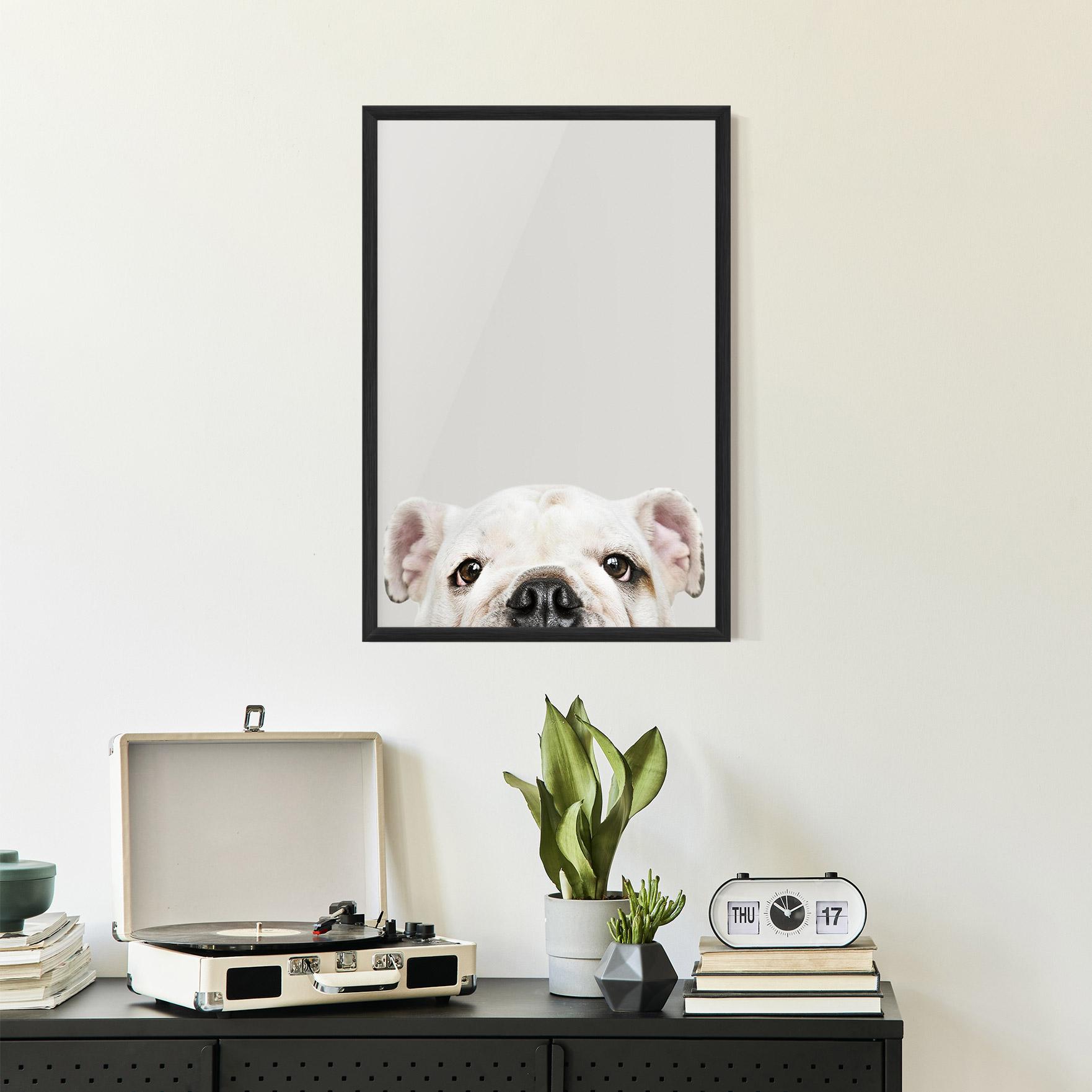 Poster Înrămat Bulldog Eyes mockup 2