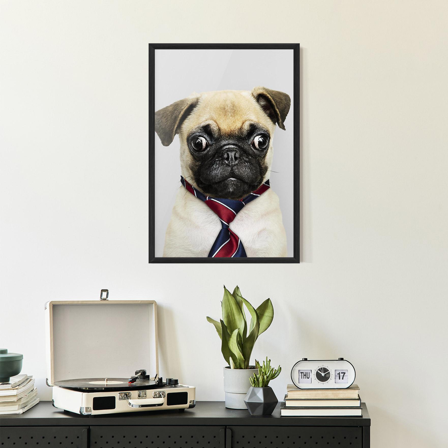 Poster Înrămat Business Pug mockup 2