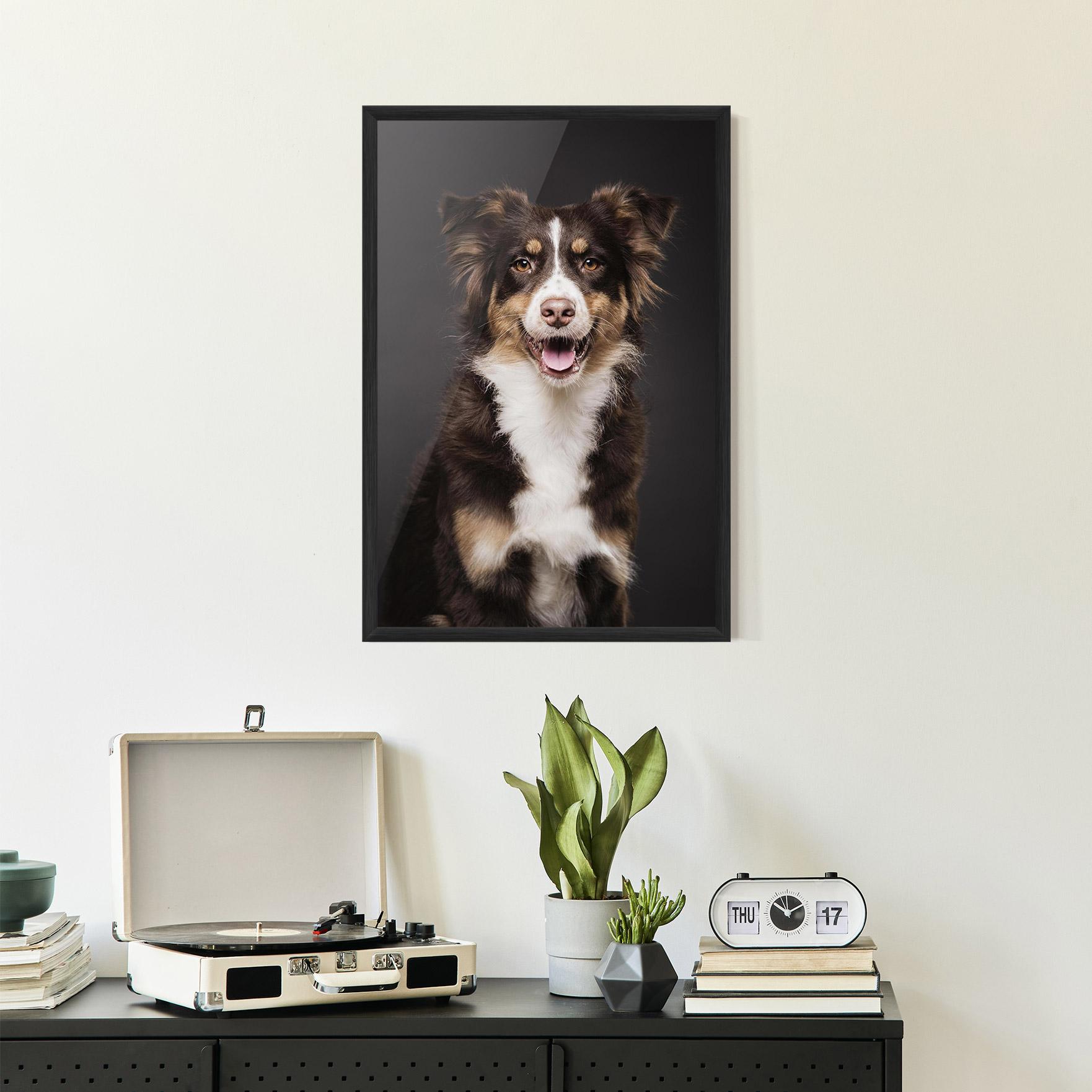 Poster Înrămat Cute Dog Sitting mockup 2