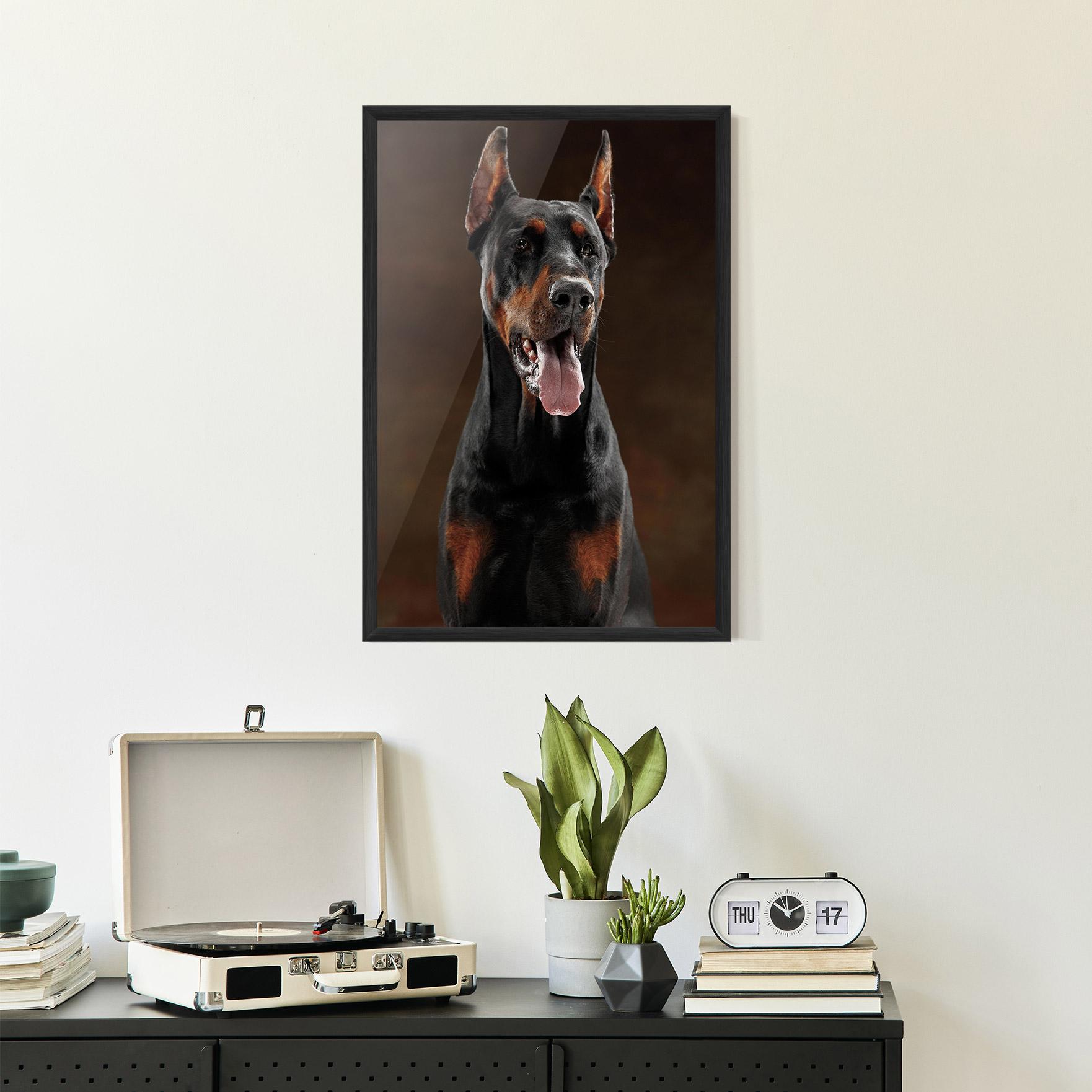 Poster Înrămat Doberman Looking mockup 2
