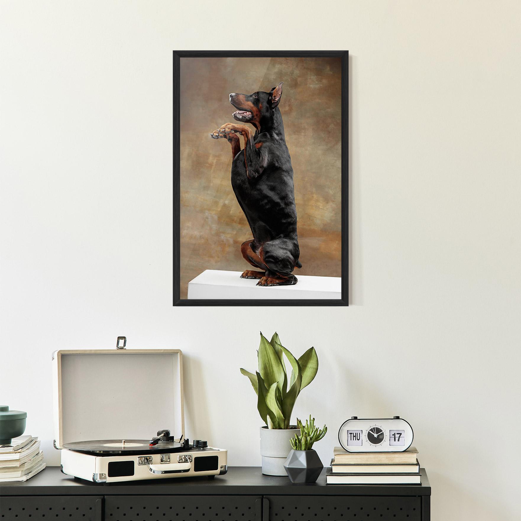 Poster Înrămat Doberman Standing mockup 2