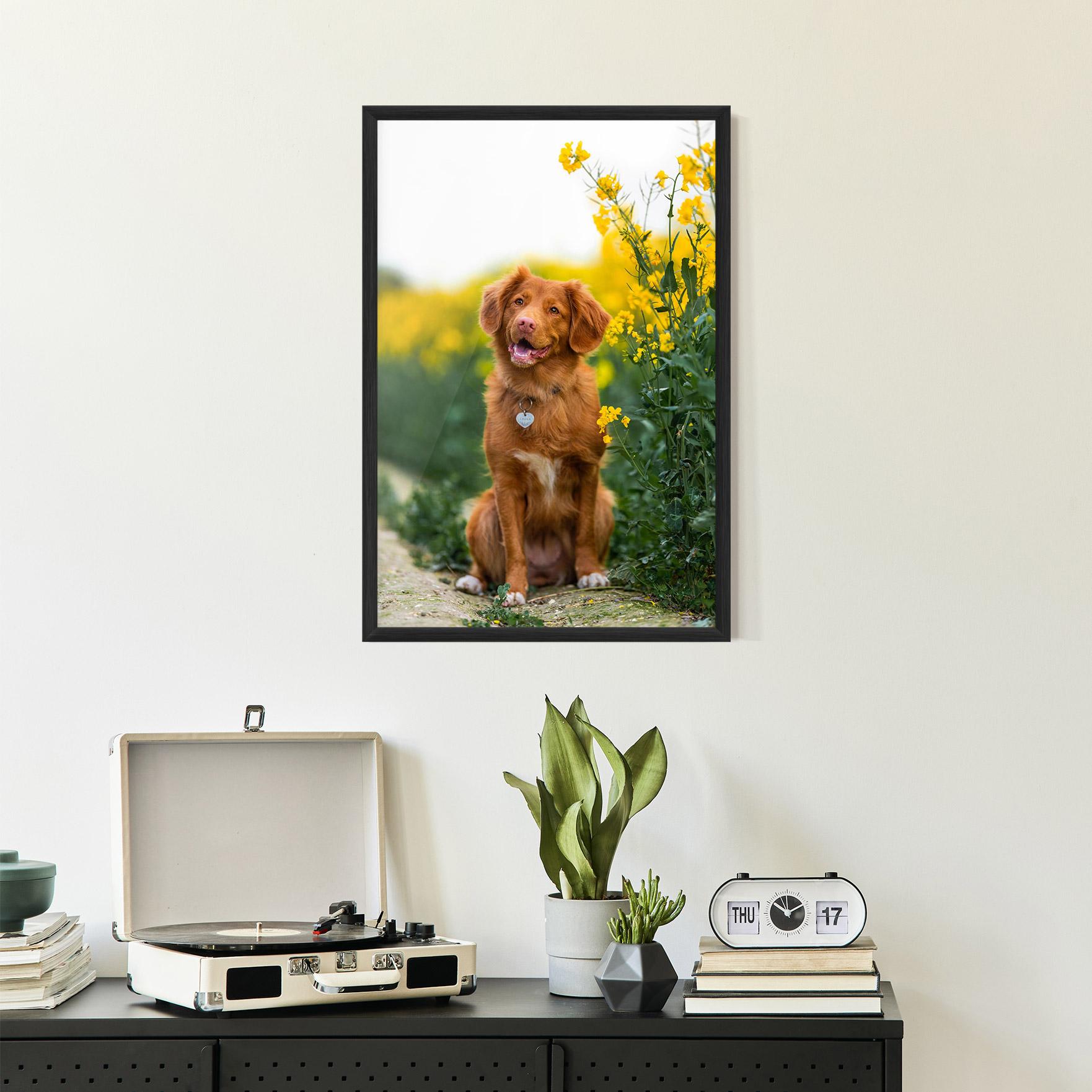 Poster Înrămat Dog Yellow Flowers mockup 2
