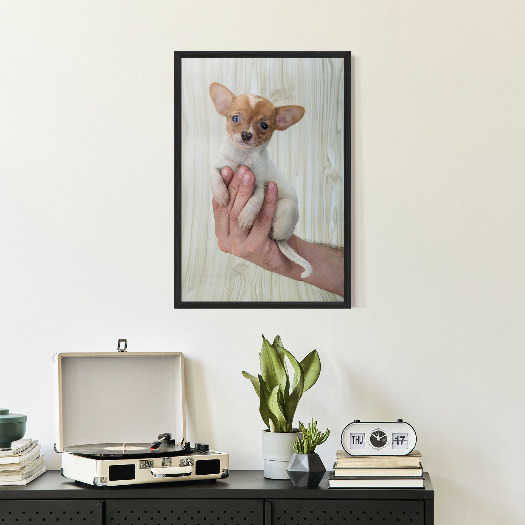 Holding Chihuahua mockup 2