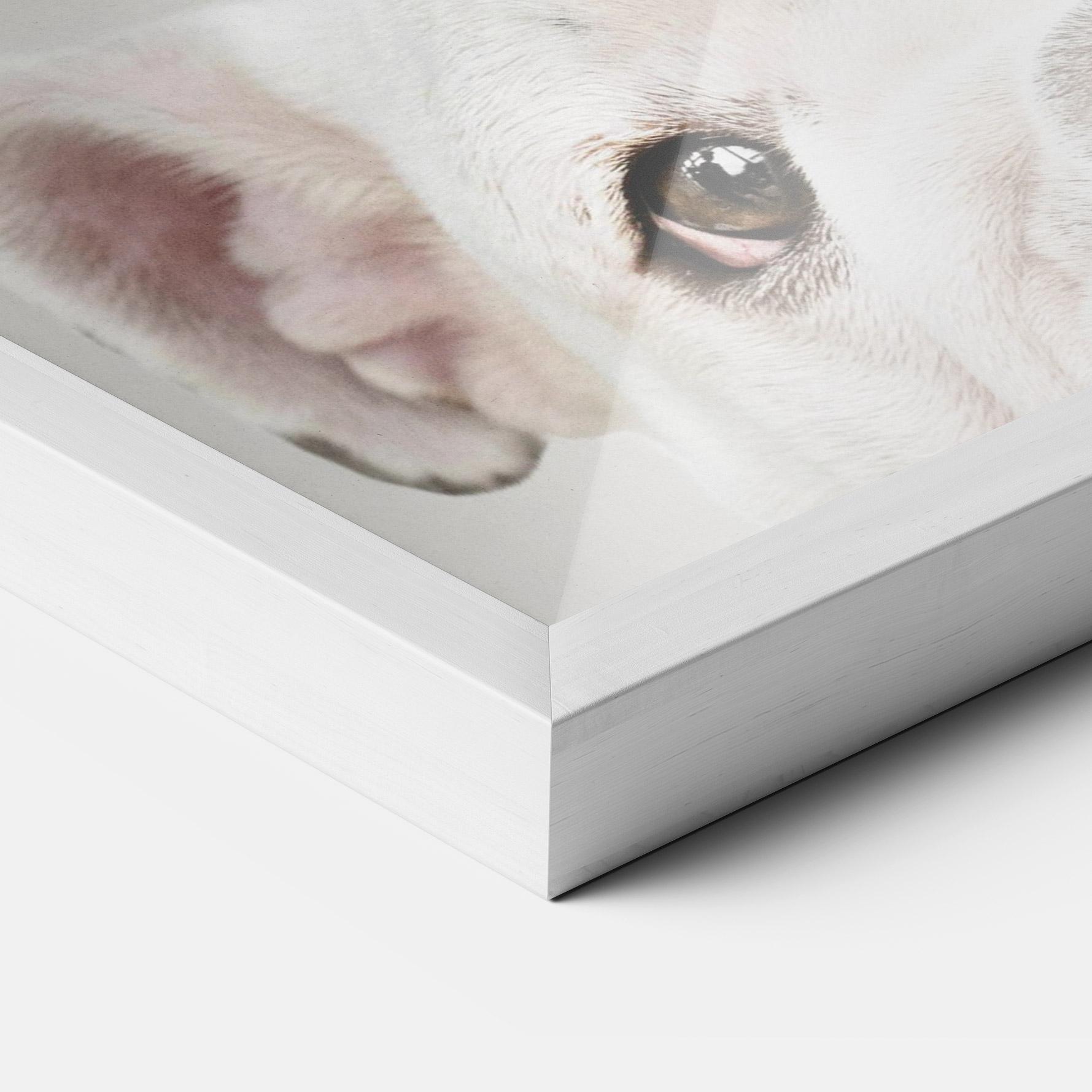 Poster Înrămat Bulldog Eyes mockup 3