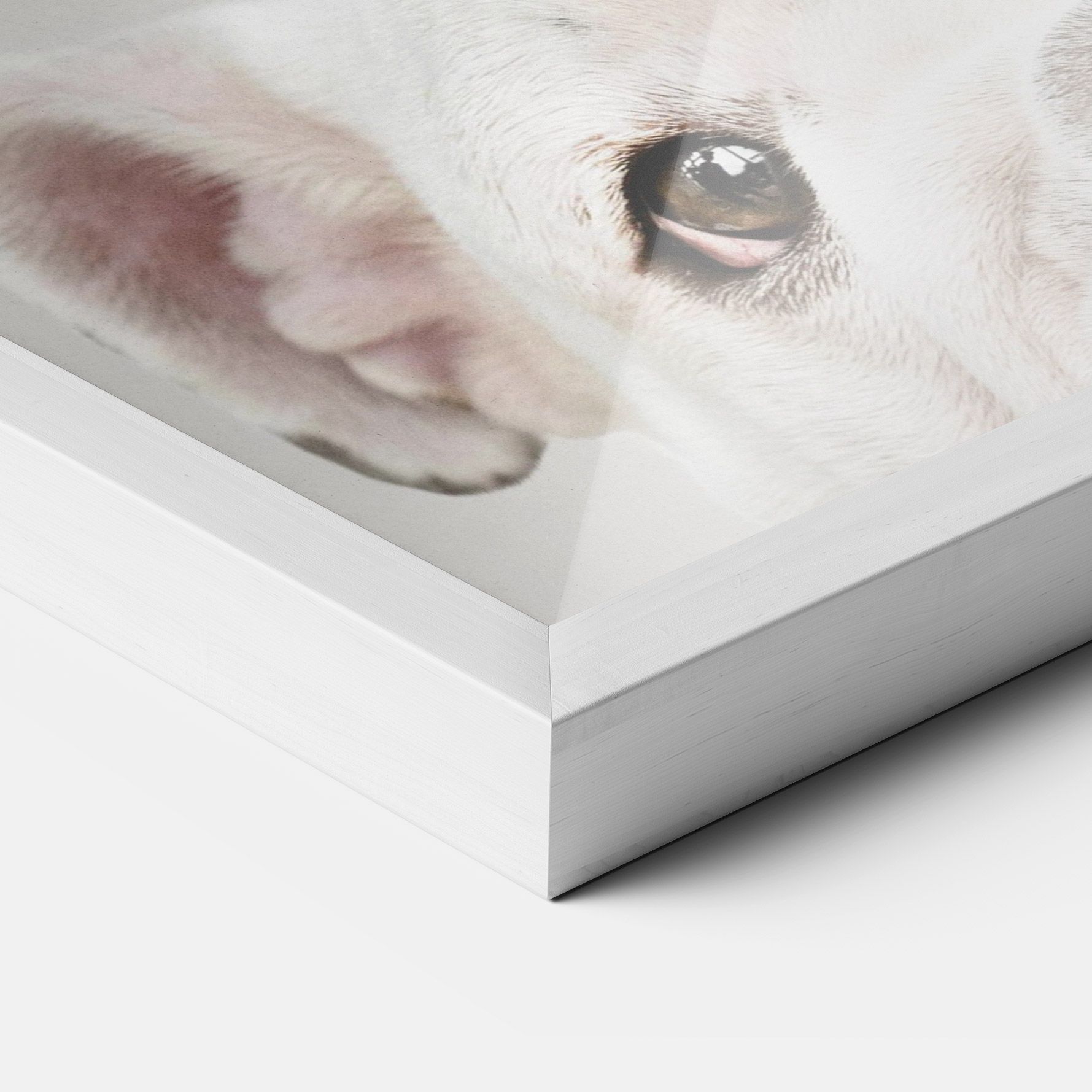 Bulldog Eyes mockup 3