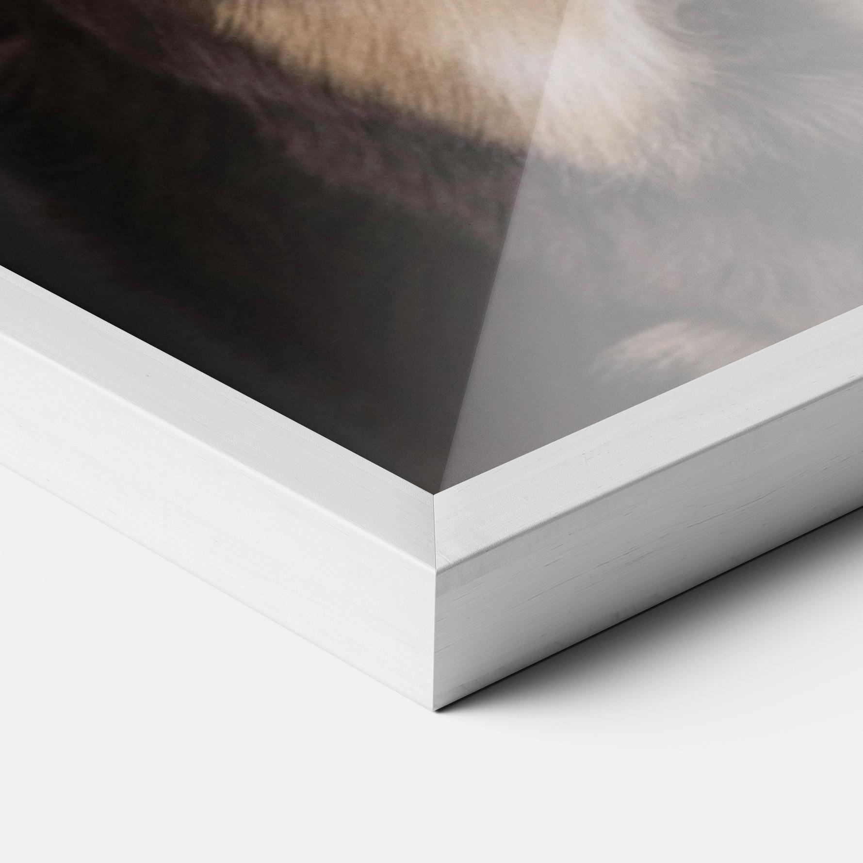 Poster Înrămat Cute Dog Sitting mockup 3