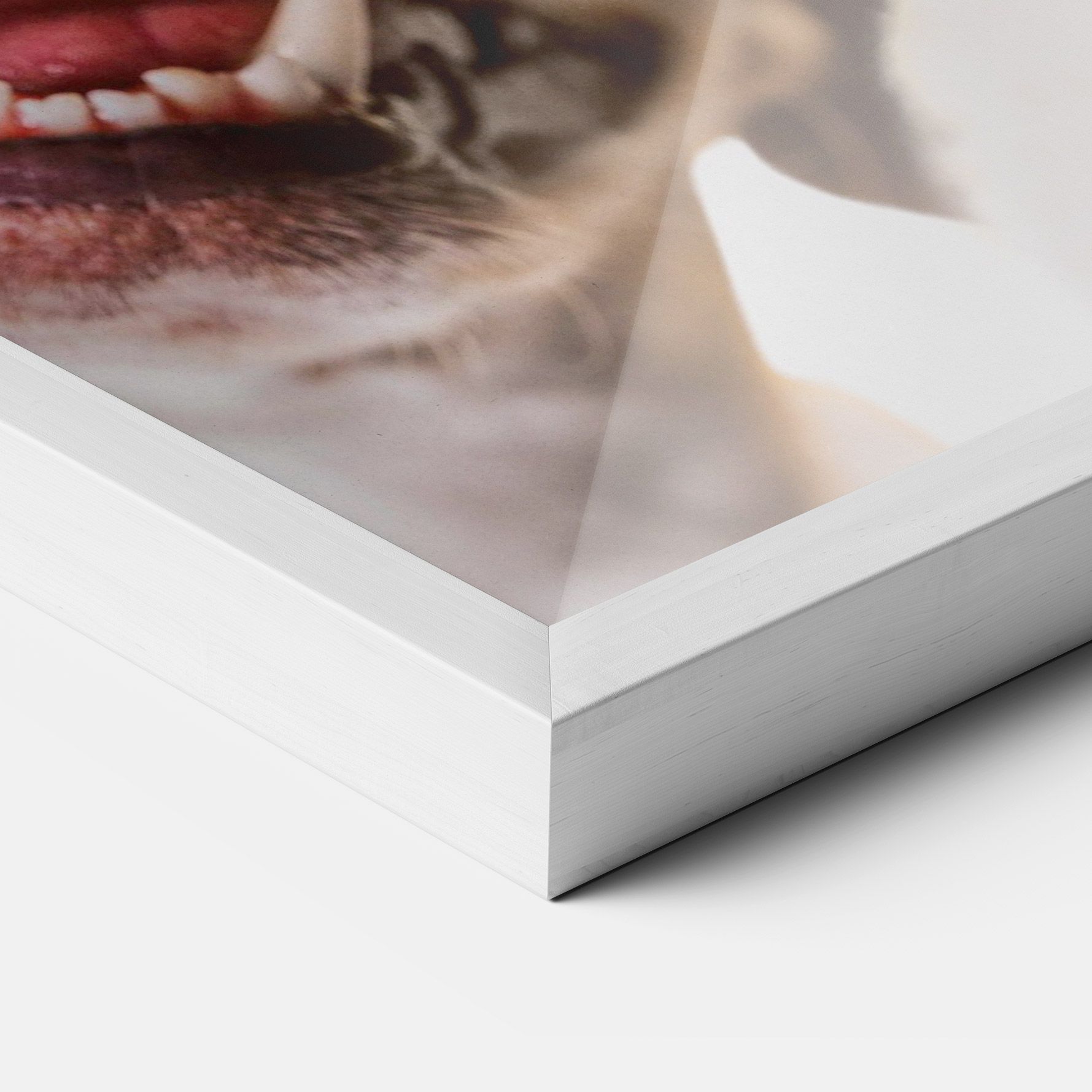 Cute Pet Collage mockup 3