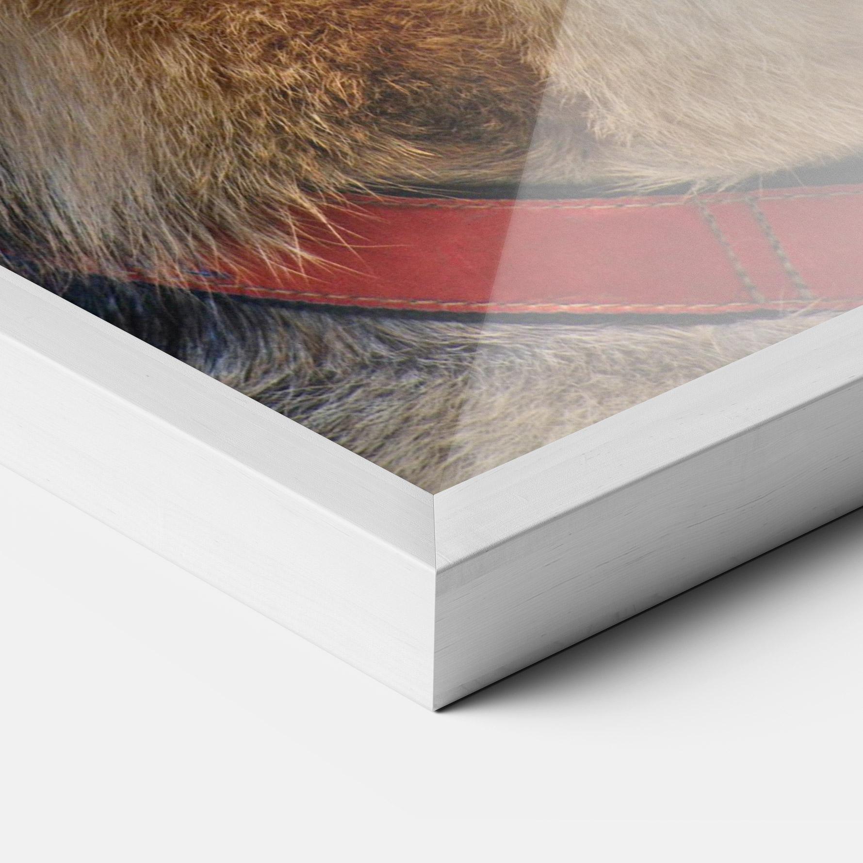 Poster Înrămat German Shepherd mockup 3