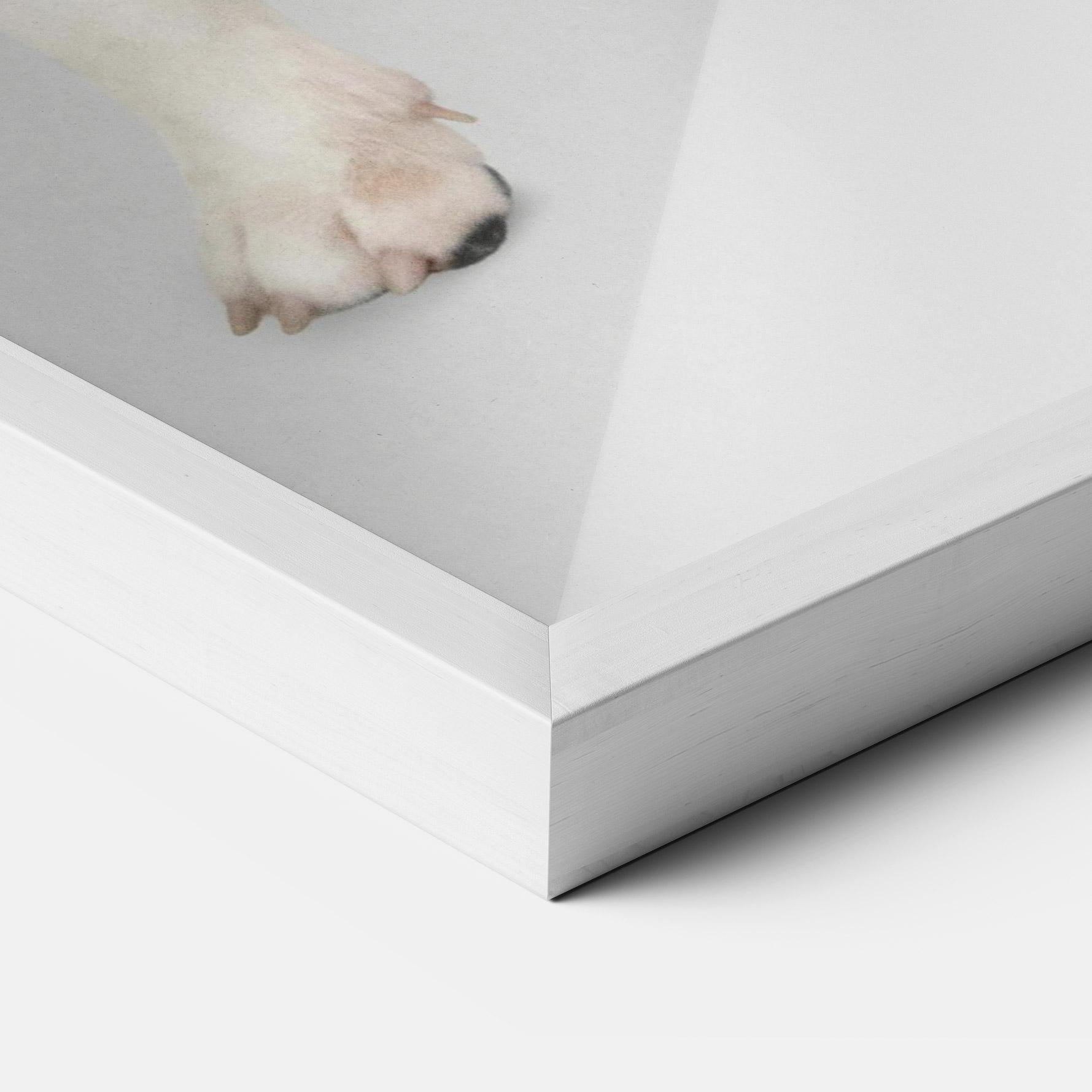 Poster Înrămat Happy White Dog mockup 3