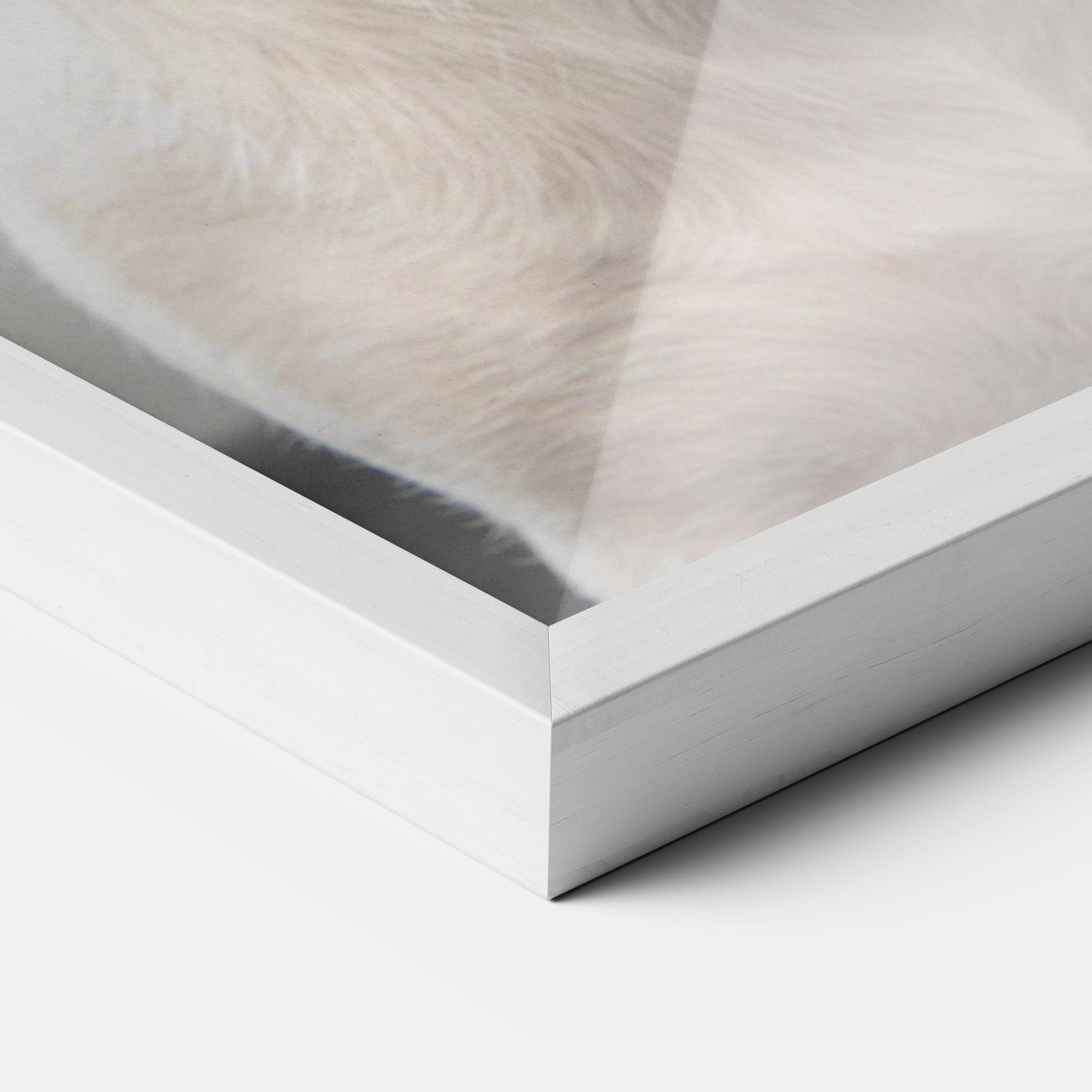 Poster Înrămat Jack Russell Terrier mockup 3