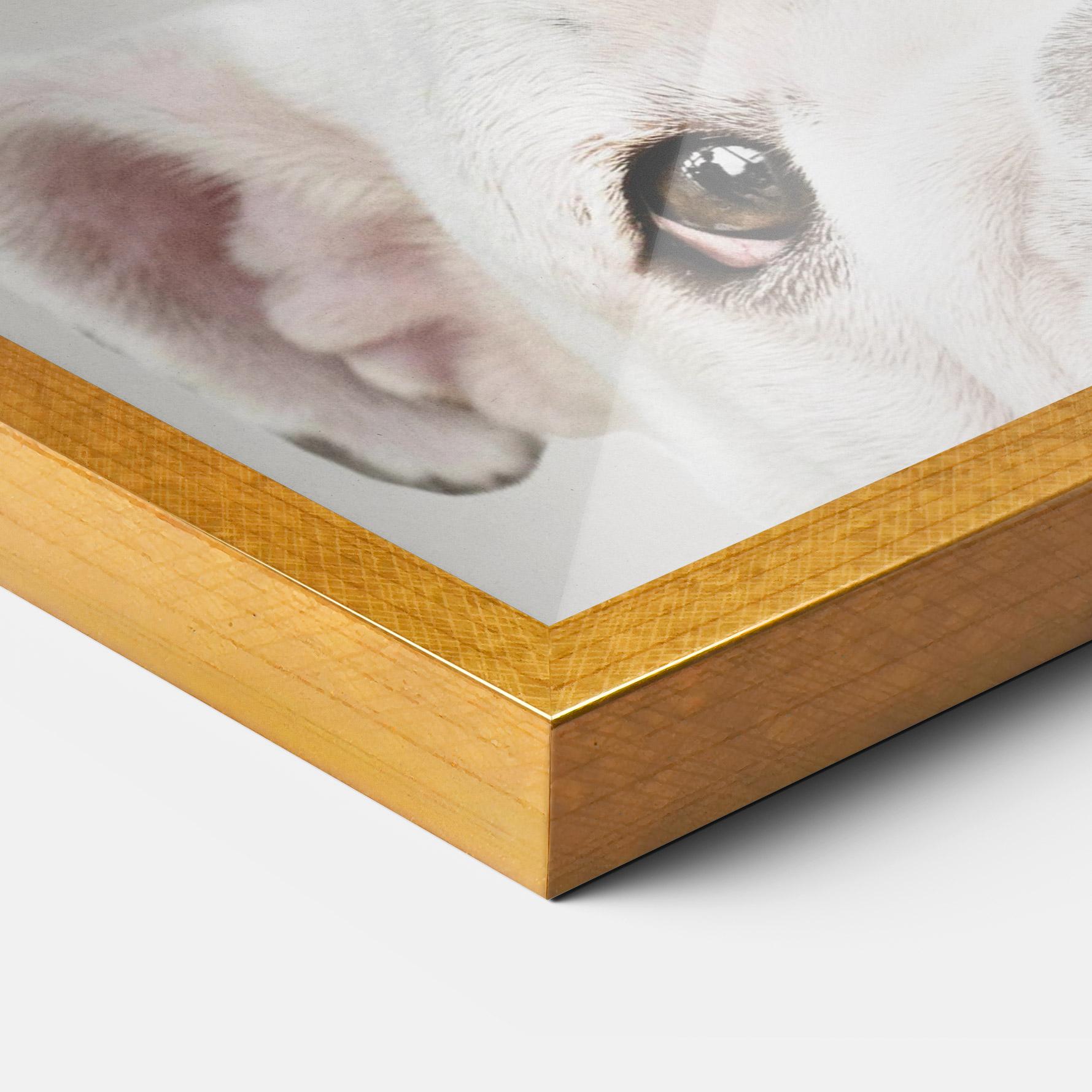 Poster Înrămat Bulldog Eyes mockup 3