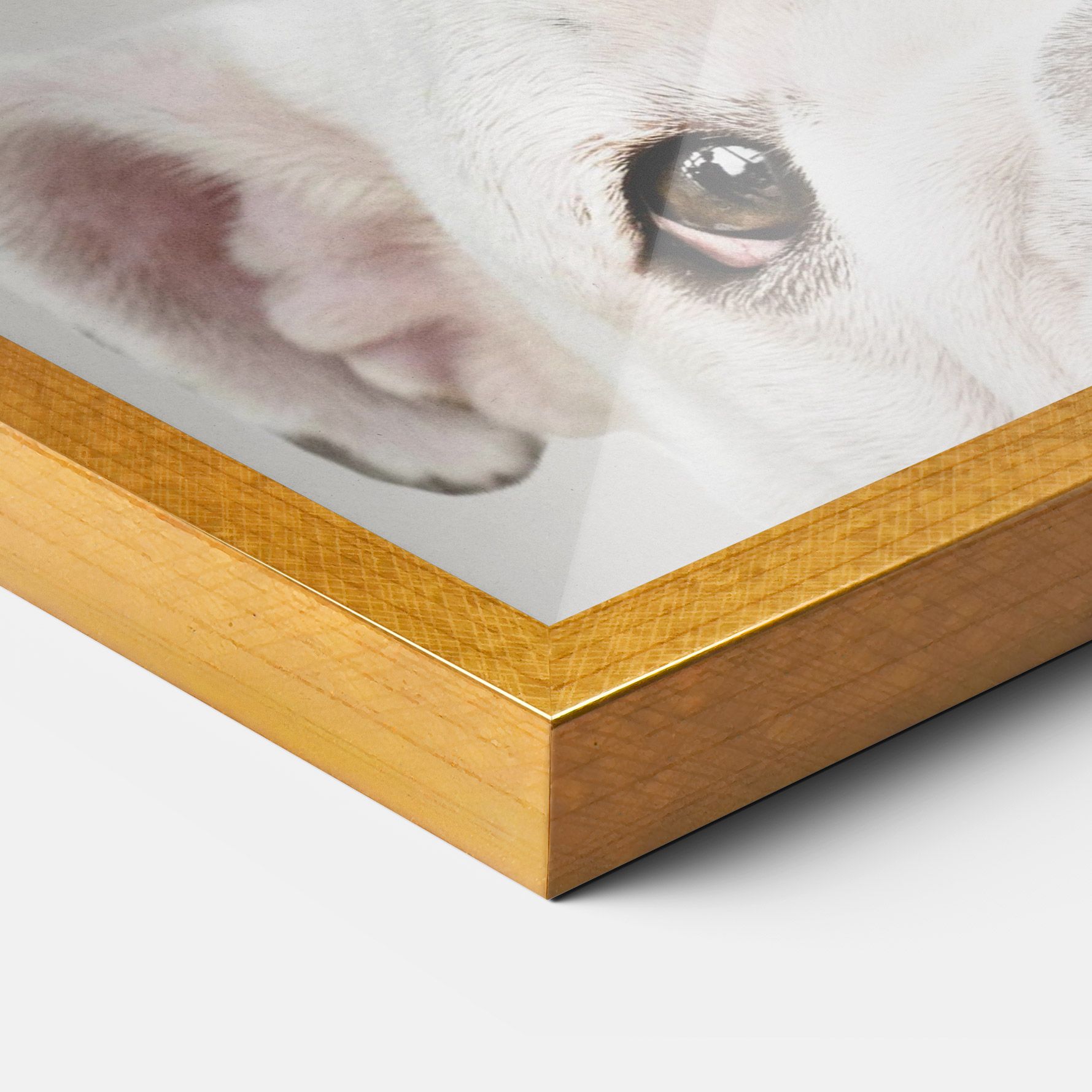 Bulldog Eyes mockup 3