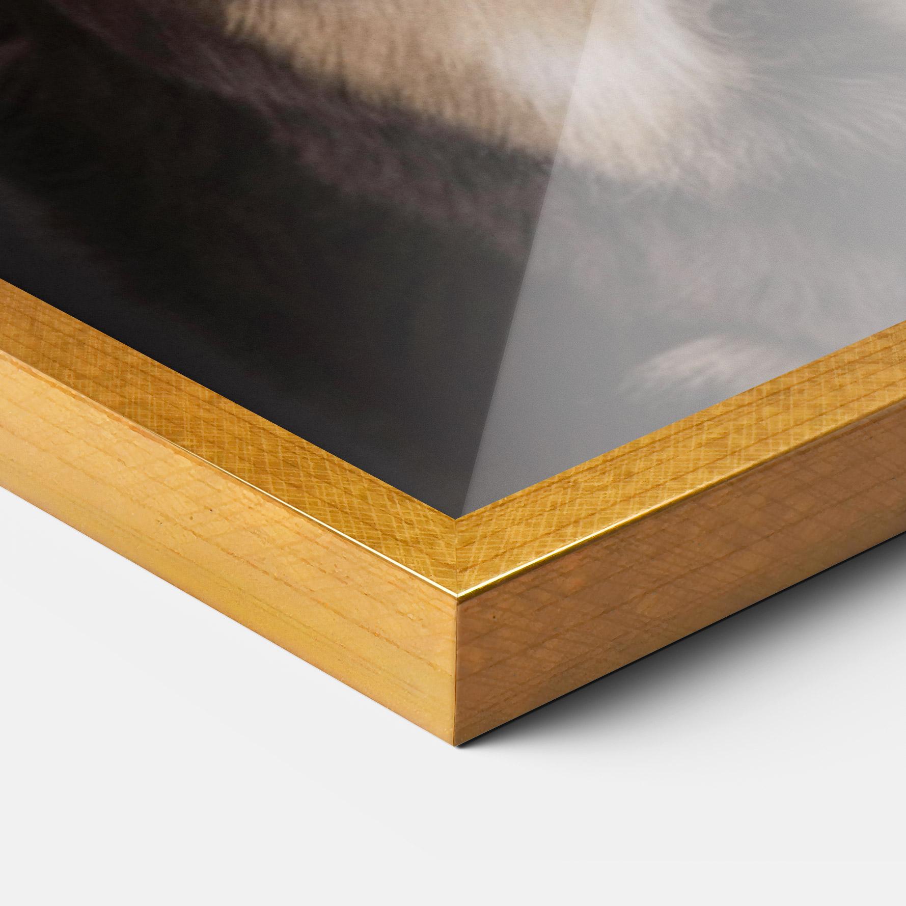 Poster Înrămat Cute Dog Sitting mockup 3