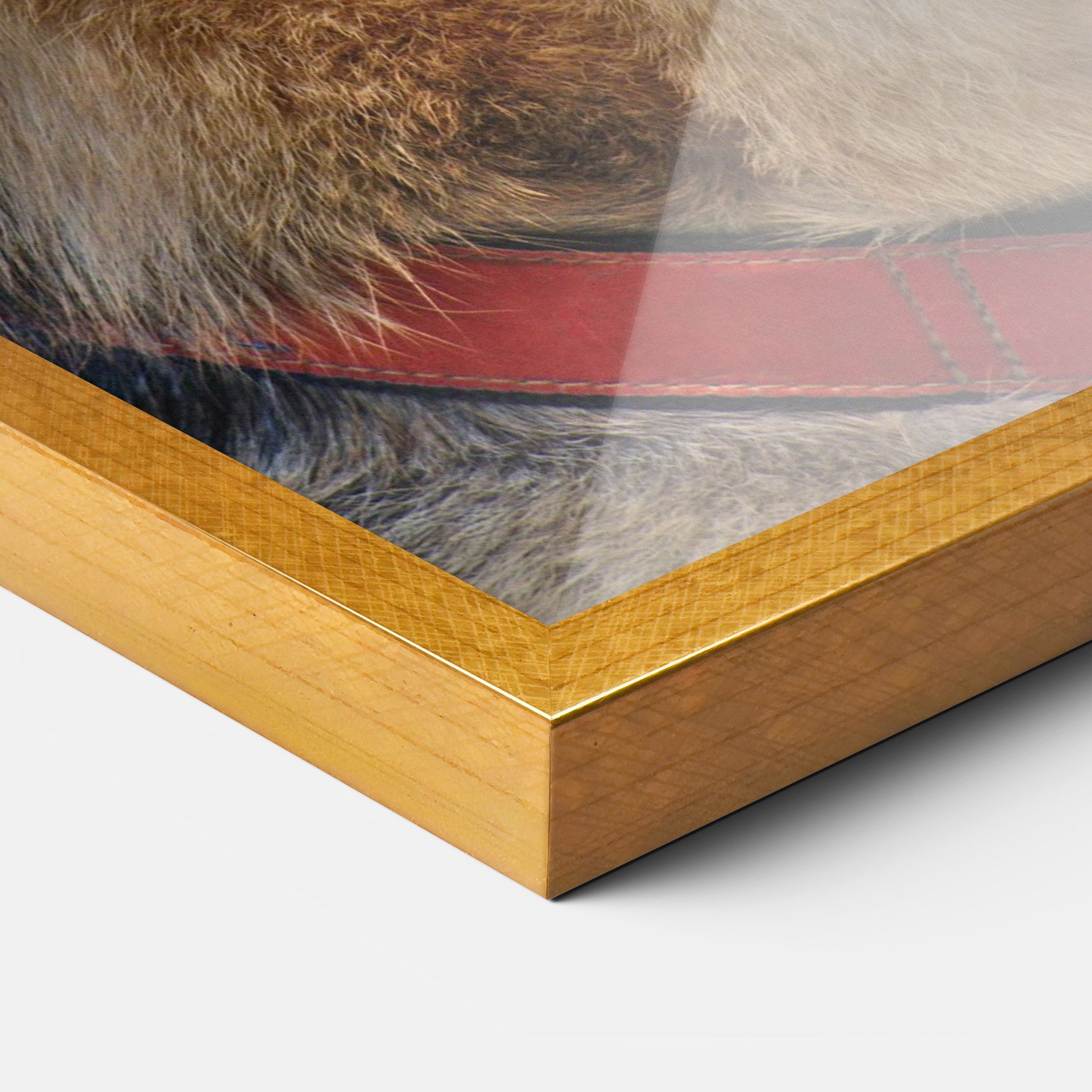 German Shepherd mockup 3