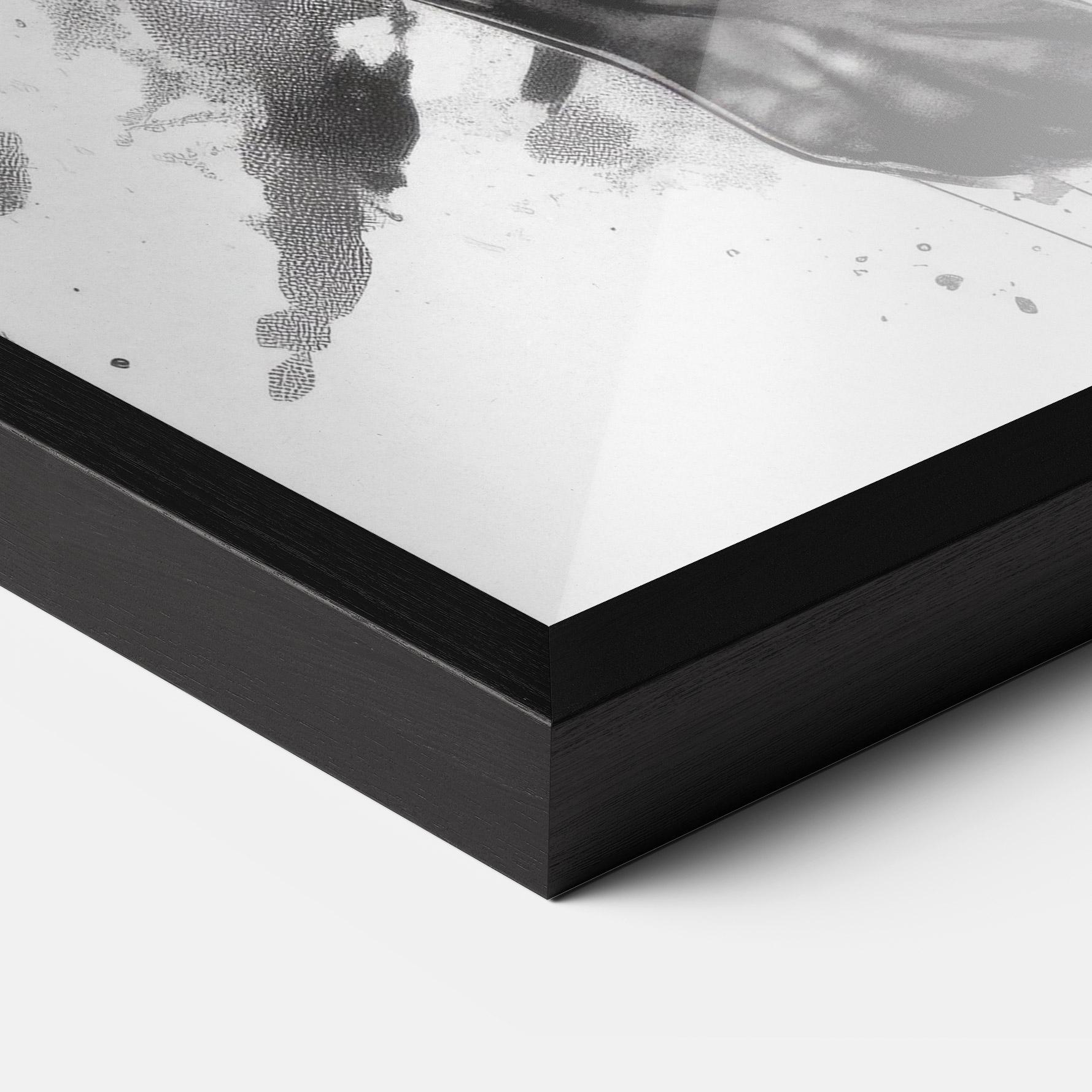 Poster Înrămat Angry Dog Jump mockup 3