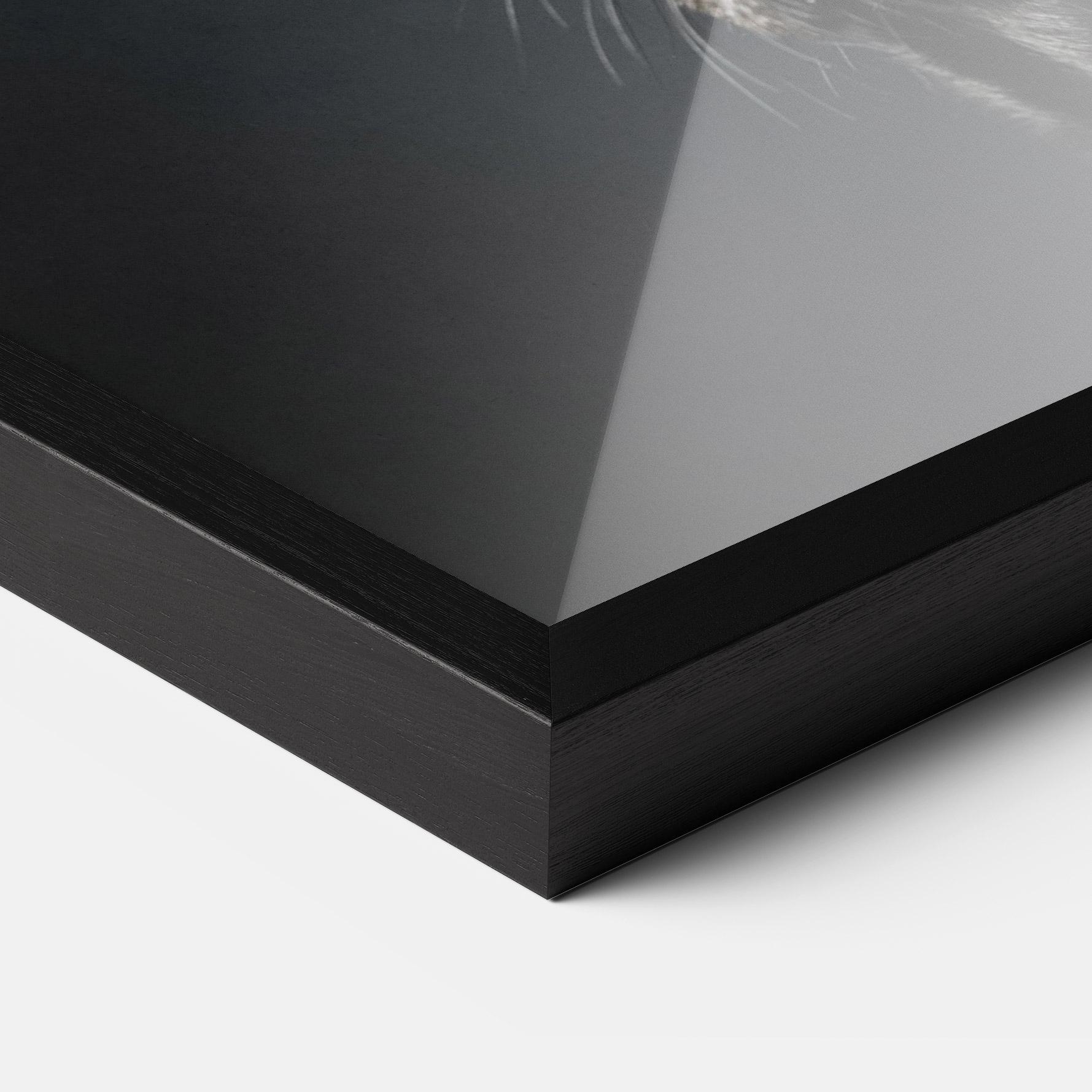 Poster Înrămat Brown Eyes Dog mockup 3