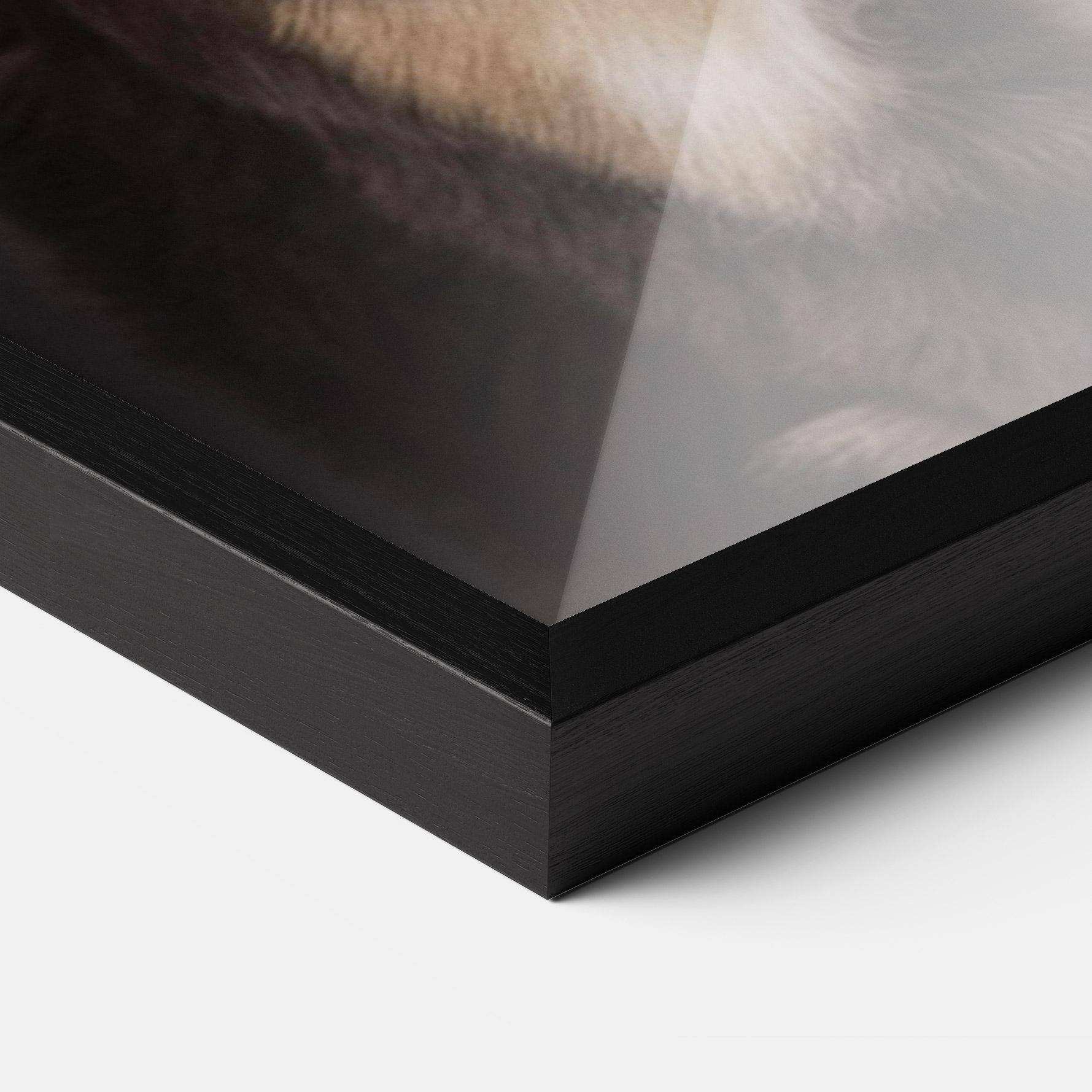 Poster Înrămat Cute Dog Sitting mockup 3