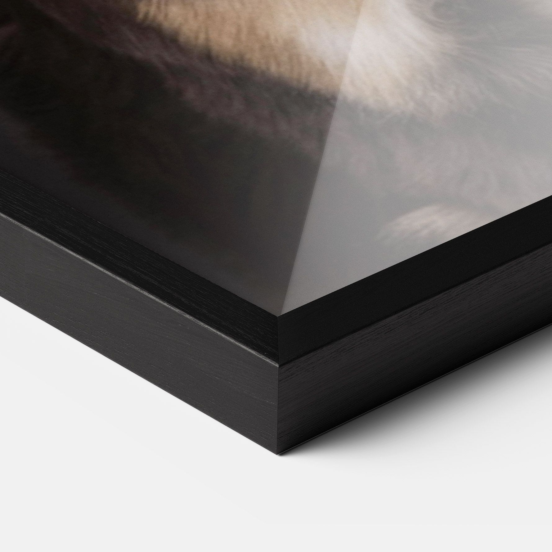 Cute Dog Sitting mockup 3