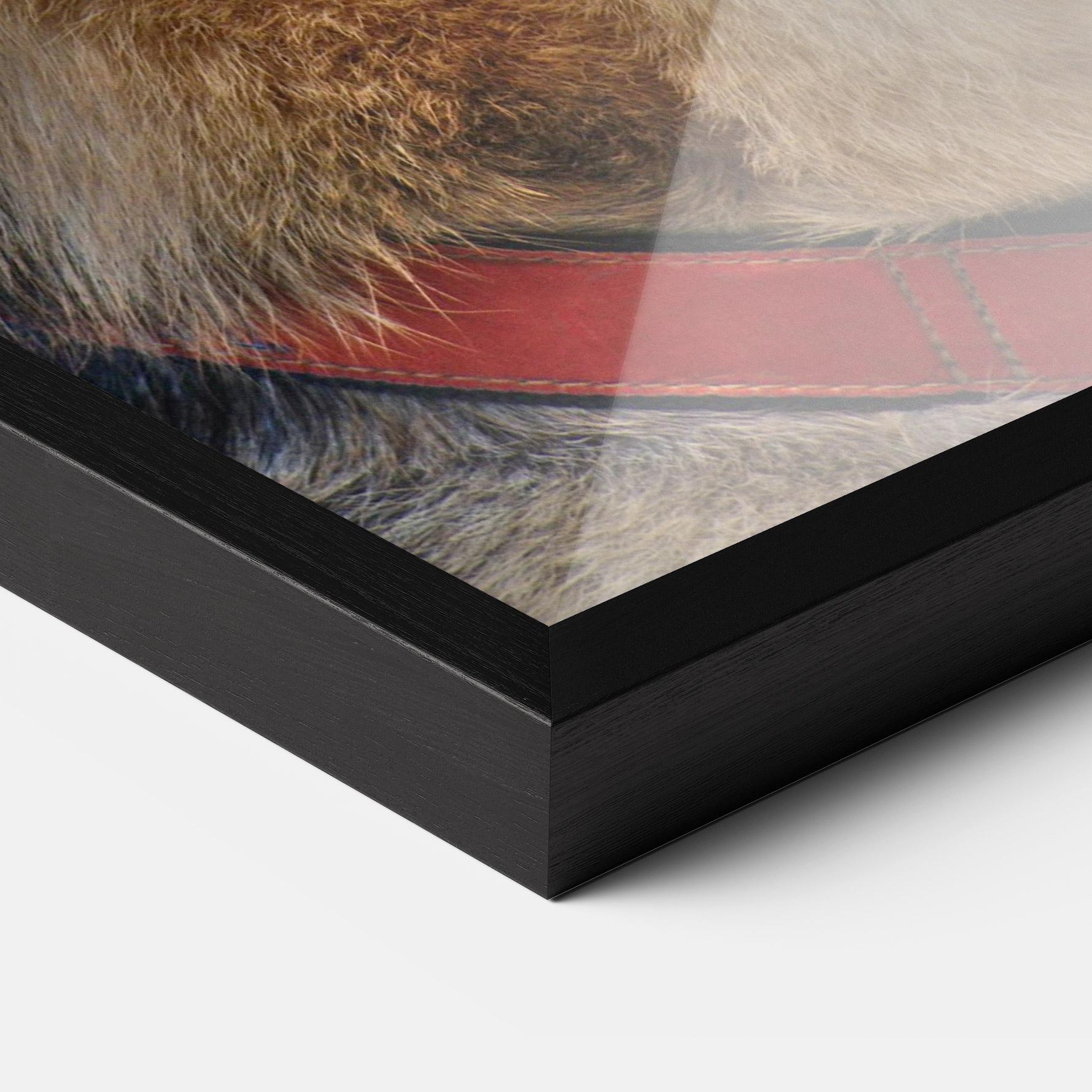 Poster Înrămat German Shepherd mockup 3