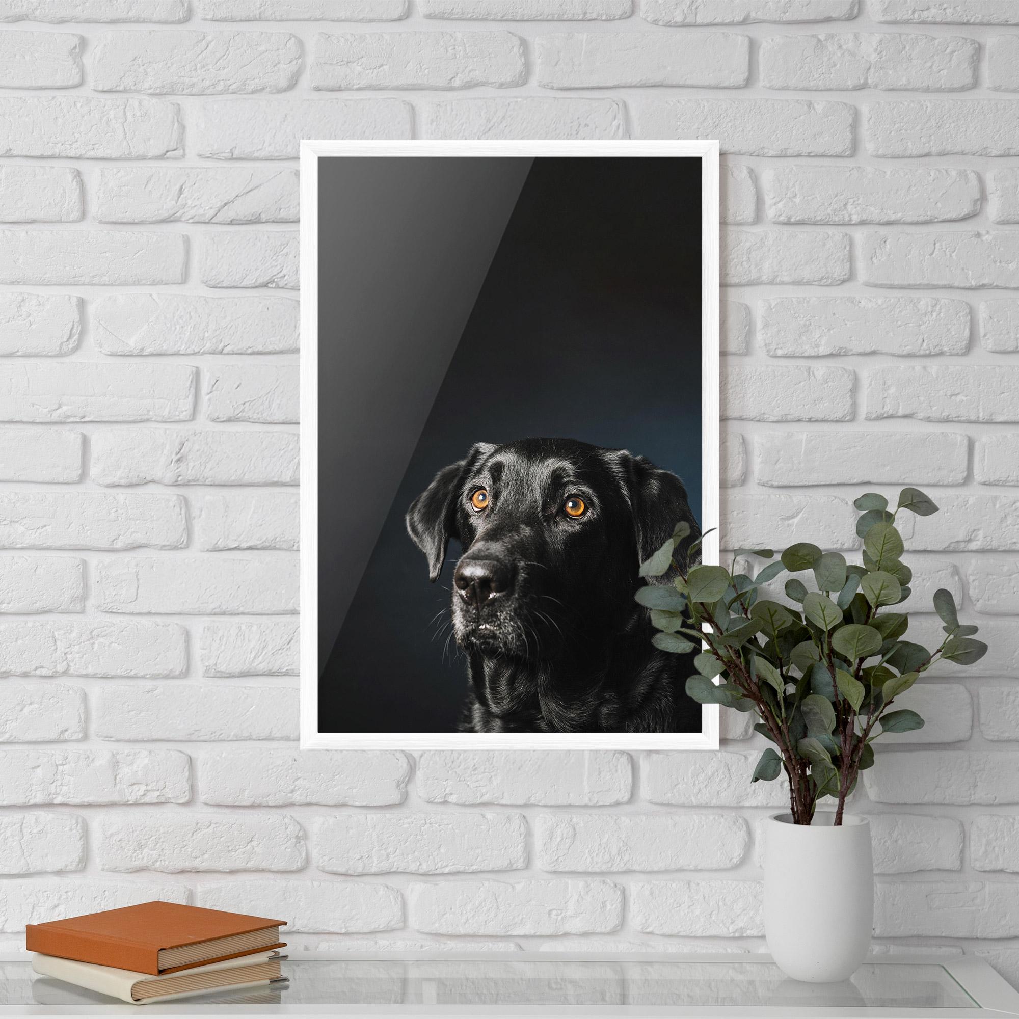 Poster Înrămat Brown Eyes Dog mockup 5
